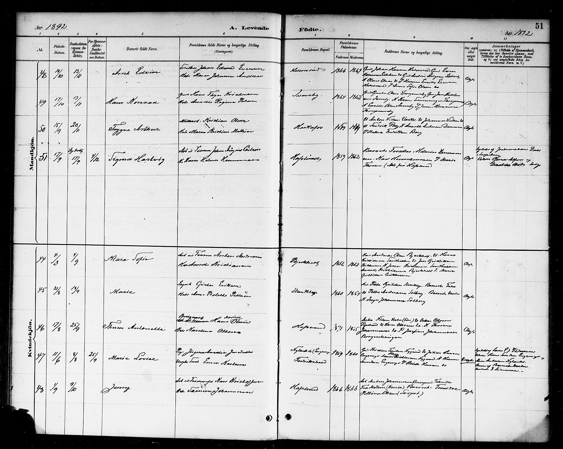 Skjeberg prestekontor Kirkebøker, AV/SAO-A-10923/F/Fa/L0009: Parish register (official) no. I 9, 1886-1897, p. 51