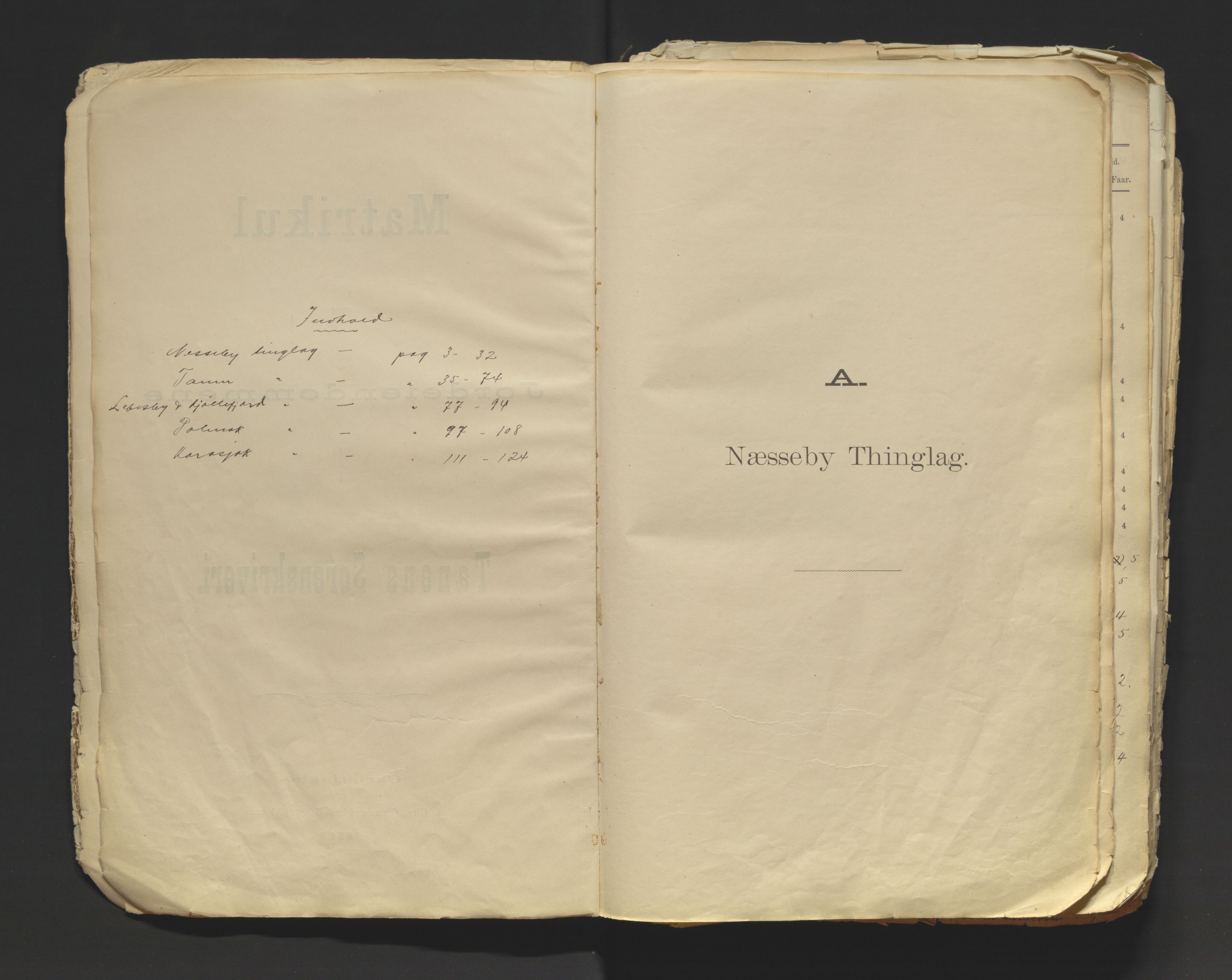 Tana fogderi/sorenskriveri, SATØ/S-0058/I/Ip/L0254/0001: -- / Annet om tinglysing. Matrikkel, Tana sorenskriveri., 1884