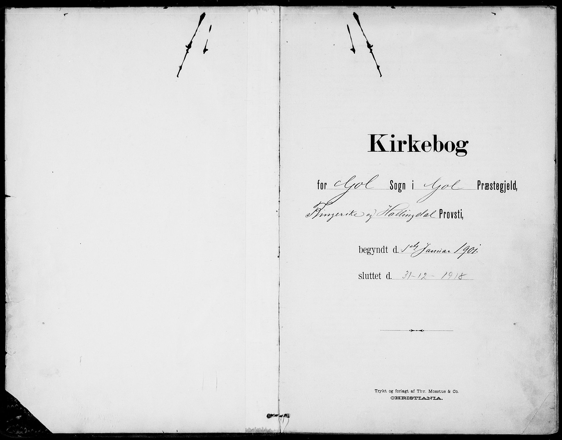 Gol kirkebøker, AV/SAKO-A-226/F/Fa/L0006: Parish register (official) no. I 6, 1901-1918