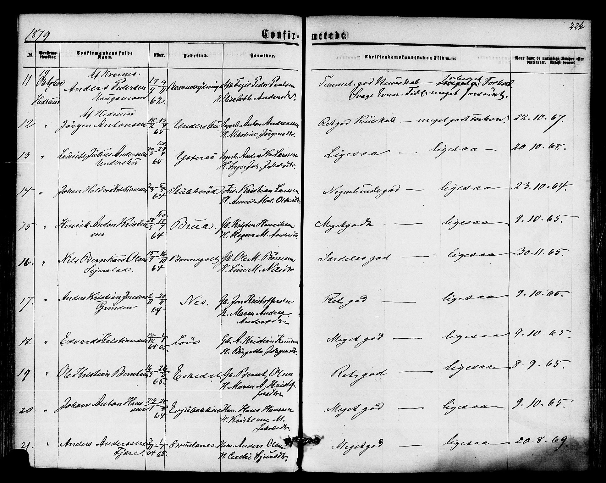 Hedrum kirkebøker, SAKO/A-344/F/Fa/L0008: Parish register (official) no. I 8, 1869-1880, p. 224