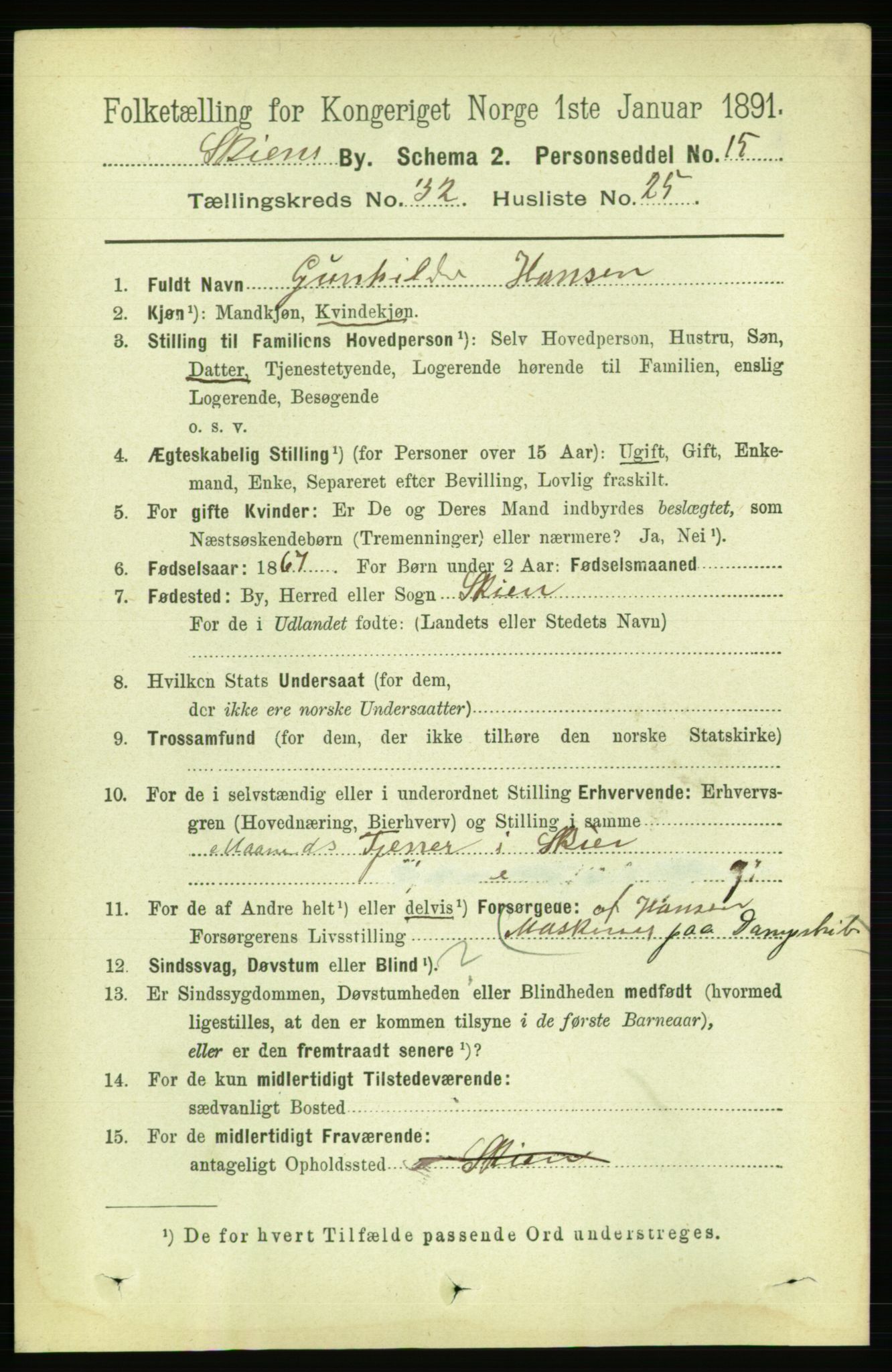 RA, 1891 census for 0806 Skien, 1891, p. 7408