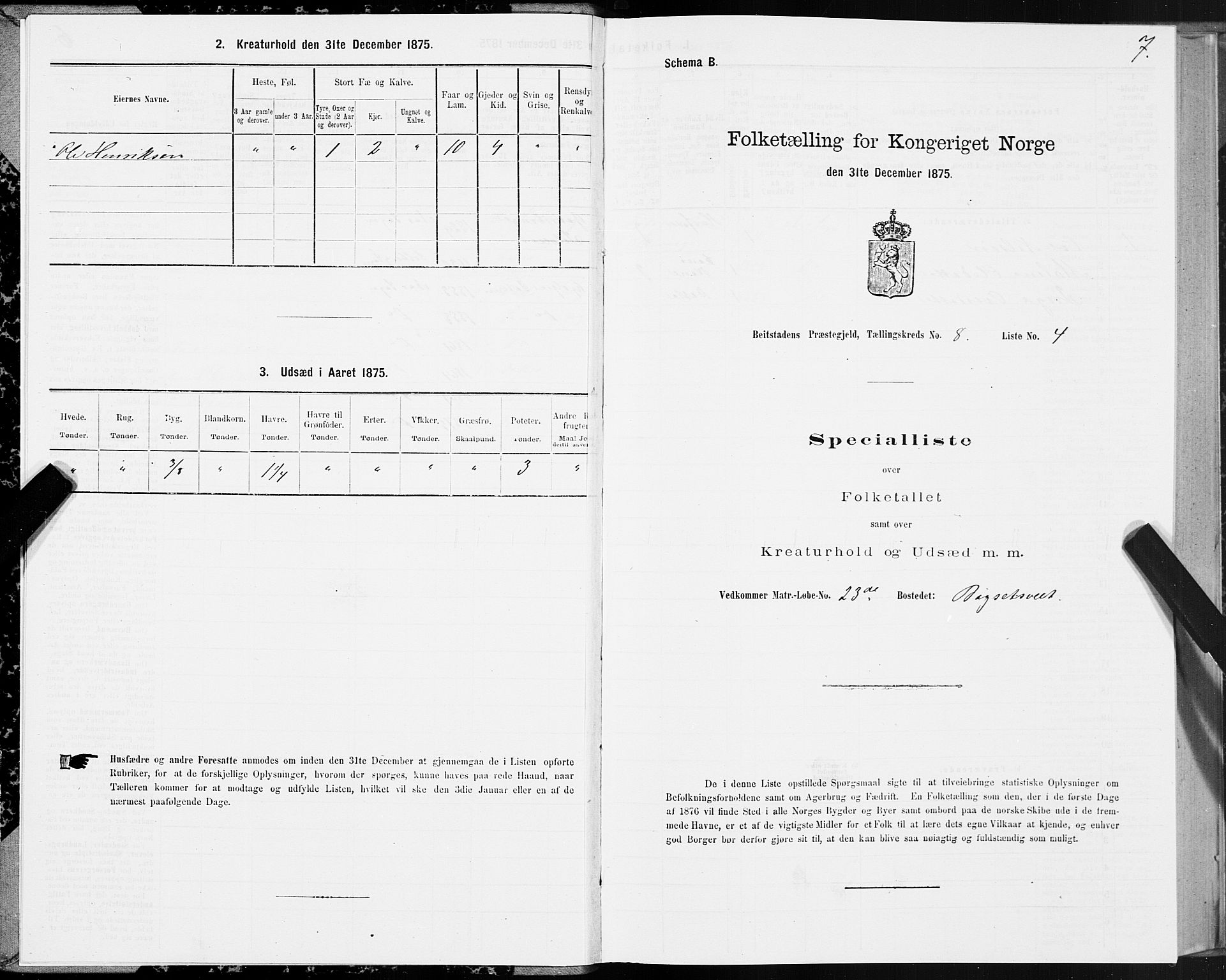 SAT, 1875 census for 1727P Beitstad, 1875, p. 6007