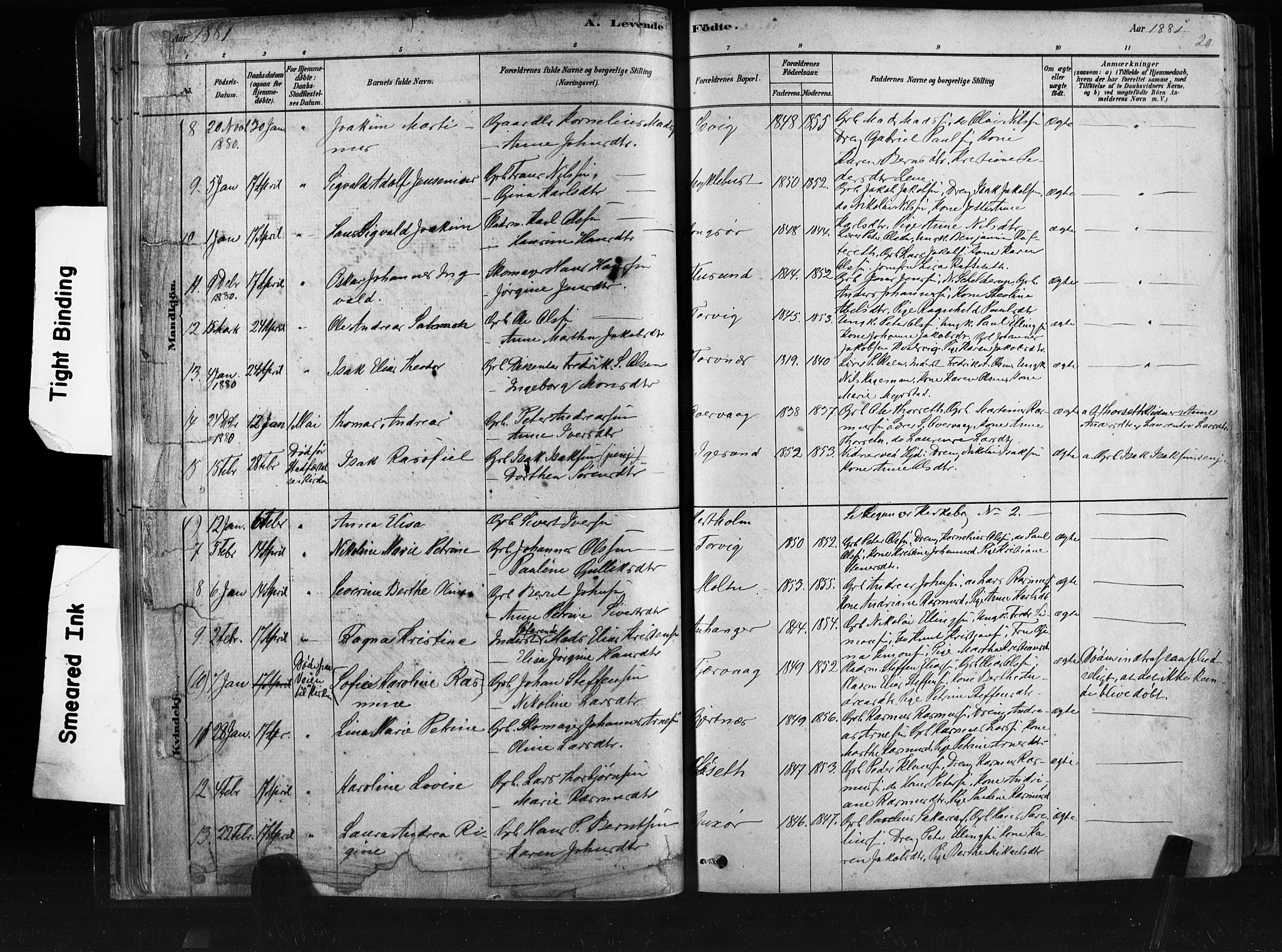 Ministerialprotokoller, klokkerbøker og fødselsregistre - Møre og Romsdal, SAT/A-1454/507/L0073: Parish register (official) no. 507A08, 1878-1904, p. 20