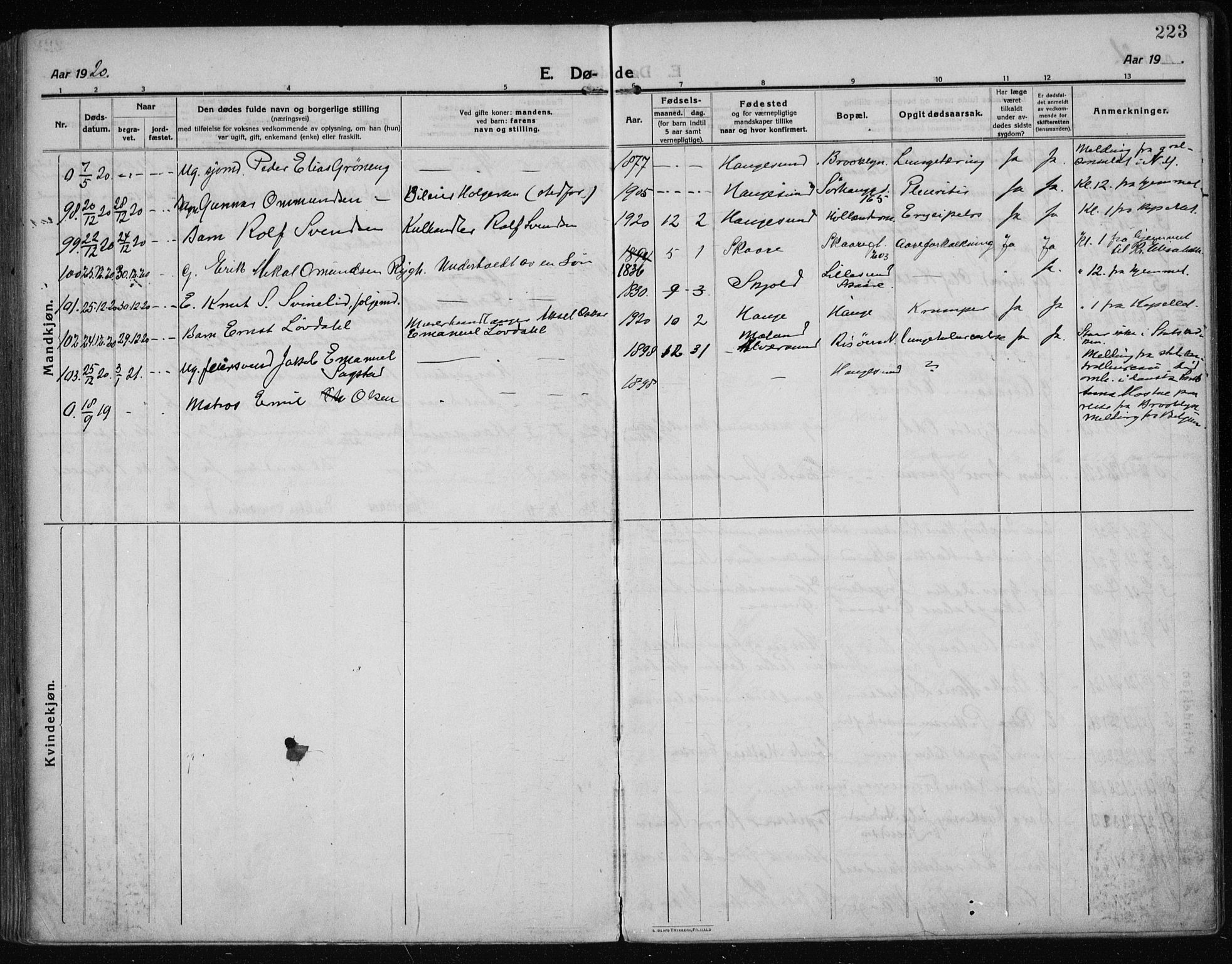 Haugesund sokneprestkontor, AV/SAST-A -101863/H/Ha/Haa/L0009: Parish register (official) no. A 9, 1914-1929, p. 223