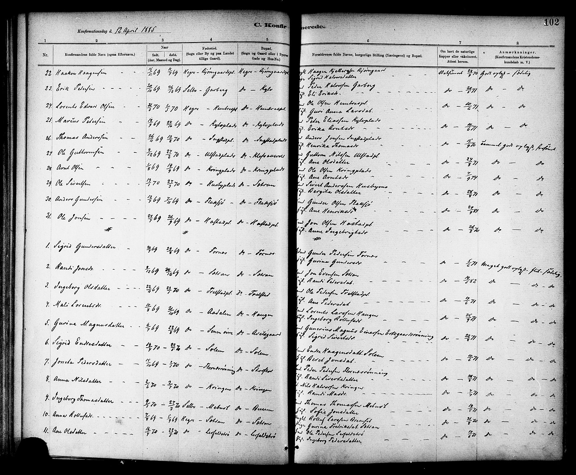 Ministerialprotokoller, klokkerbøker og fødselsregistre - Nord-Trøndelag, SAT/A-1458/703/L0030: Parish register (official) no. 703A03, 1880-1892, p. 102