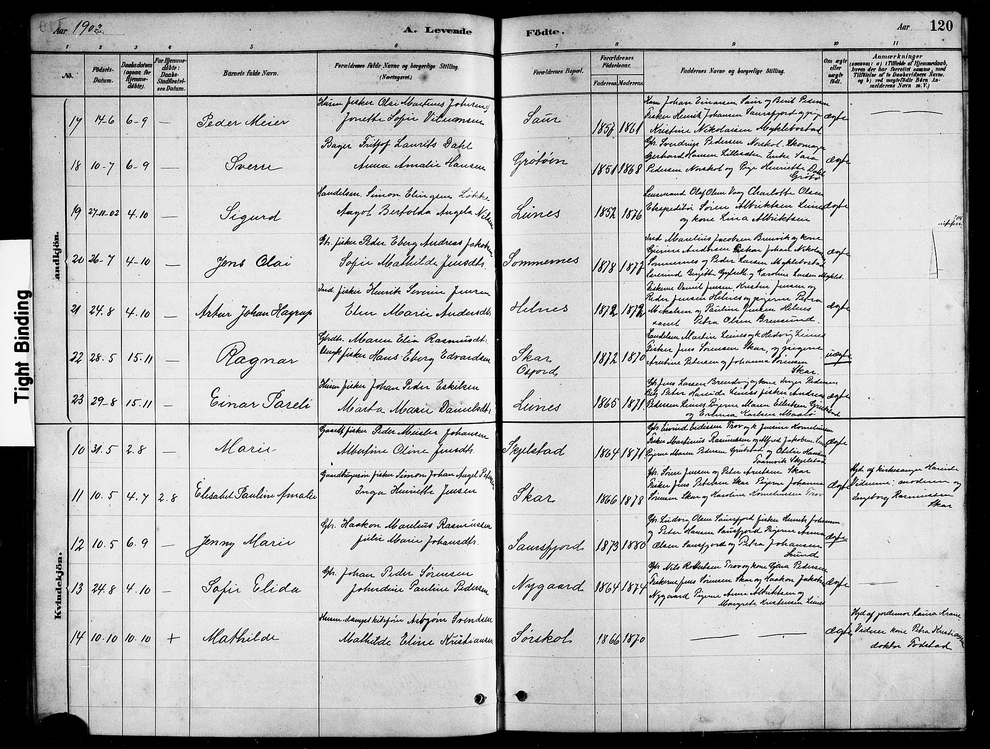 Ministerialprotokoller, klokkerbøker og fødselsregistre - Nordland, AV/SAT-A-1459/857/L0828: Parish register (copy) no. 857C03, 1879-1908, p. 120