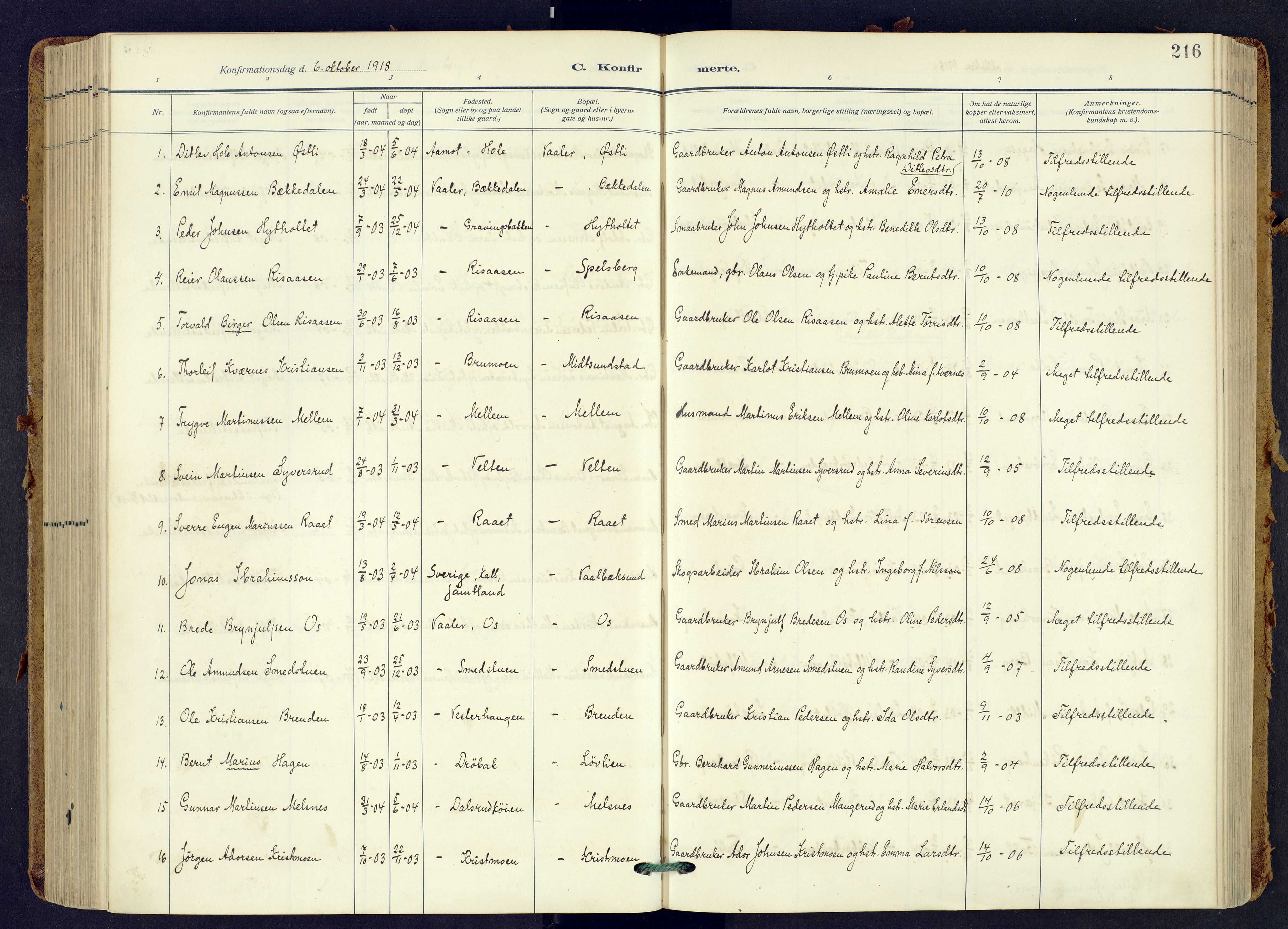 Våler prestekontor, Hedmark, AV/SAH-PREST-040/H/Ha/Haa/L0009: Parish register (official) no. 9, 1912-1940, p. 216