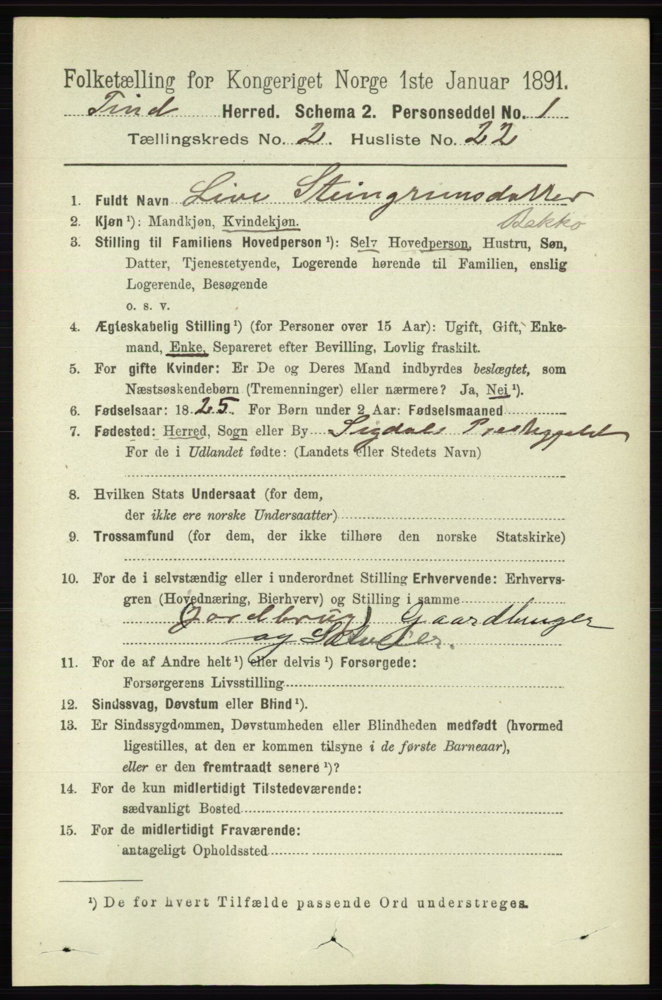 RA, 1891 census for 0826 Tinn, 1891, p. 272