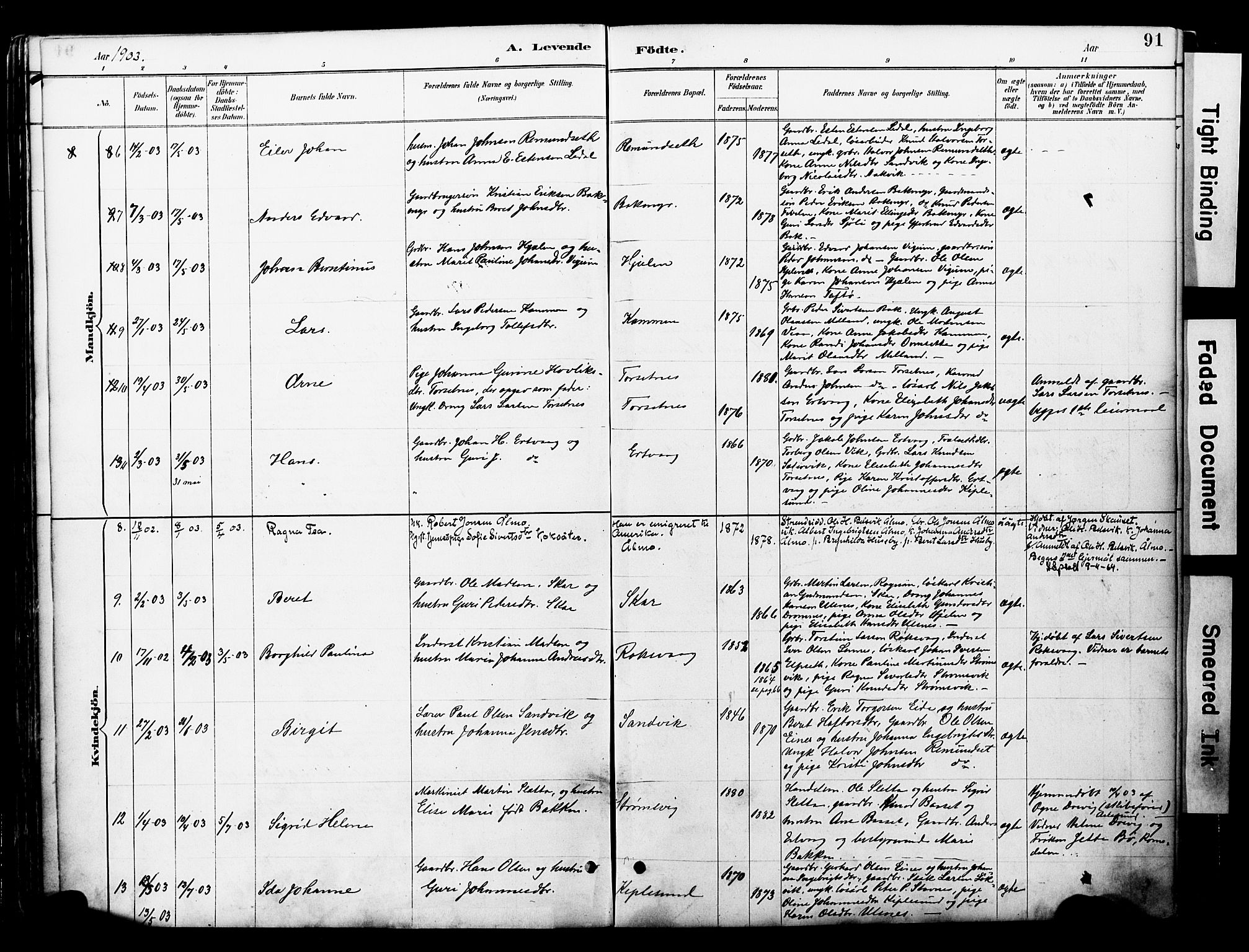 Ministerialprotokoller, klokkerbøker og fødselsregistre - Møre og Romsdal, AV/SAT-A-1454/578/L0907: Parish register (official) no. 578A06, 1887-1904, p. 91