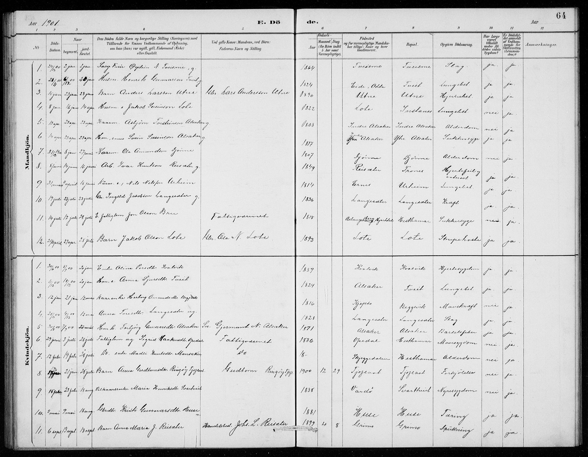 Ullensvang sokneprestembete, SAB/A-78701/H/Hab: Parish register (copy) no. E  9, 1886-1938, p. 64