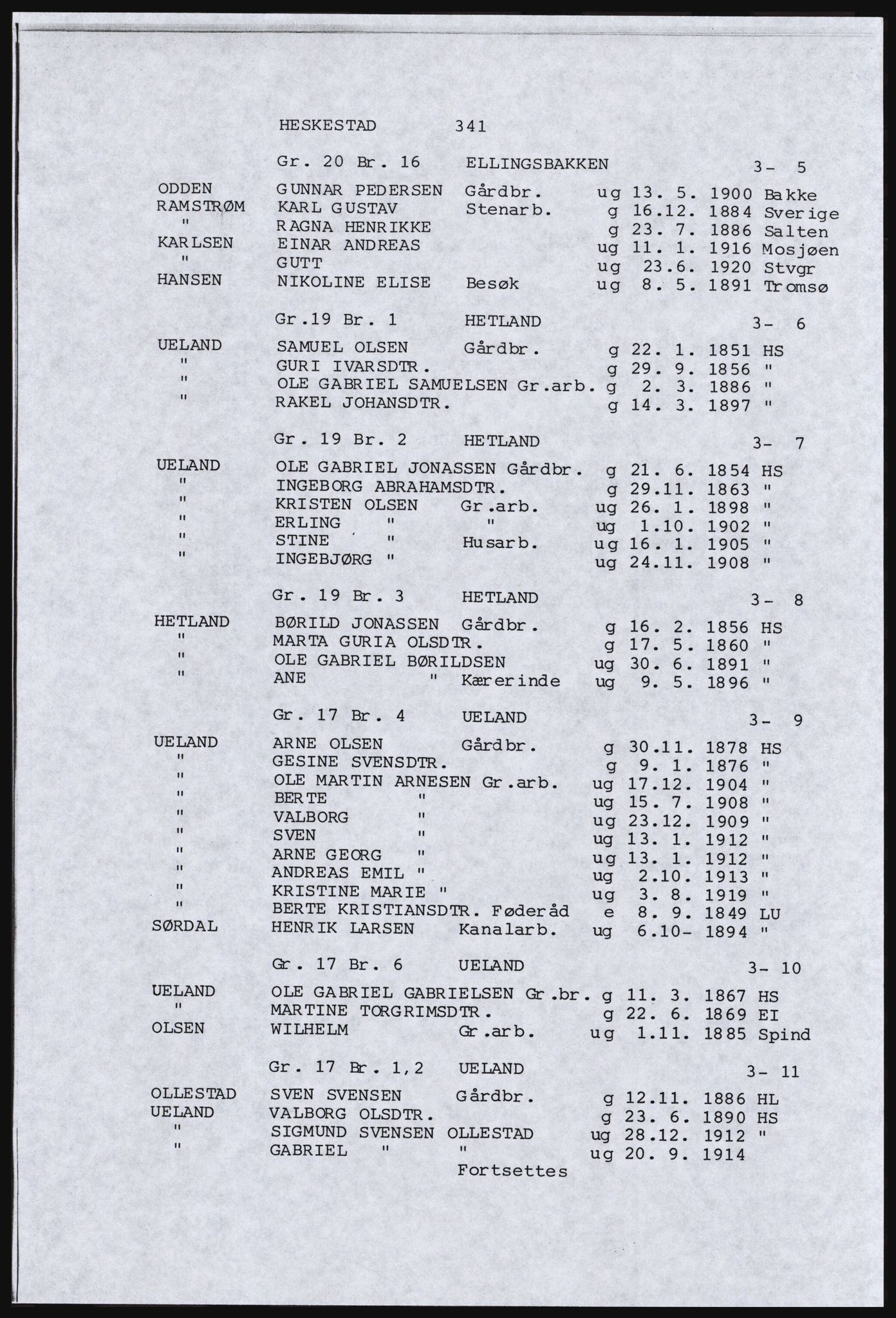 SAST, Copy of 1920 census for Dalane, 1920, p. 805