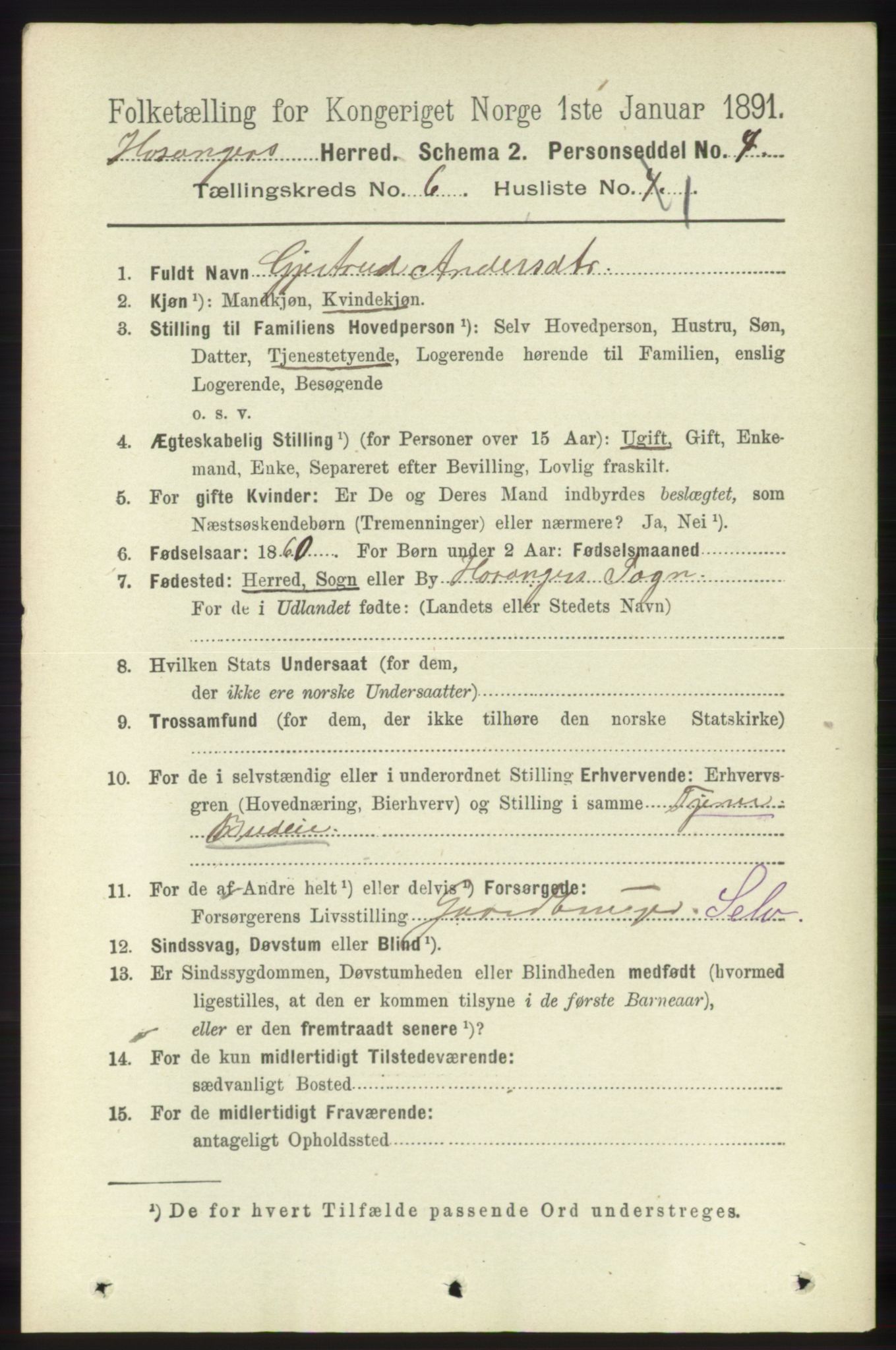 RA, 1891 census for 1253 Hosanger, 1891, p. 2141