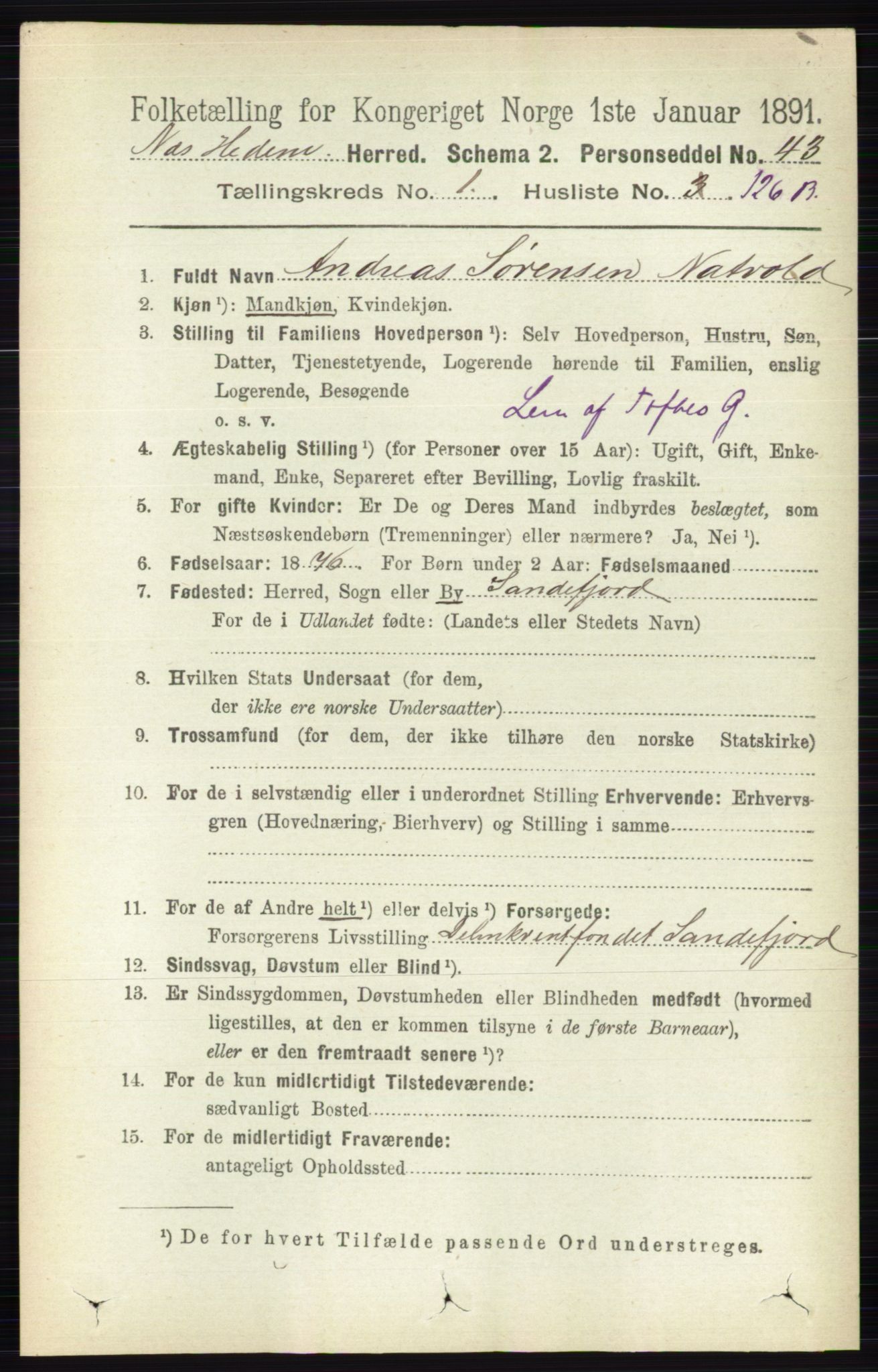 RA, 1891 census for 0411 Nes, 1891, p. 950