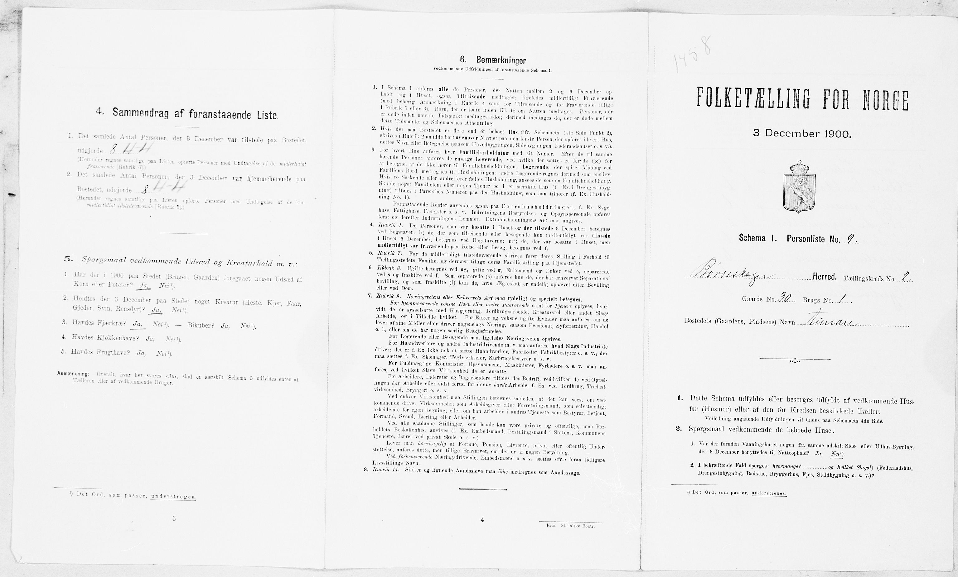 SAT, 1900 census for Børseskogn, 1900, p. 196