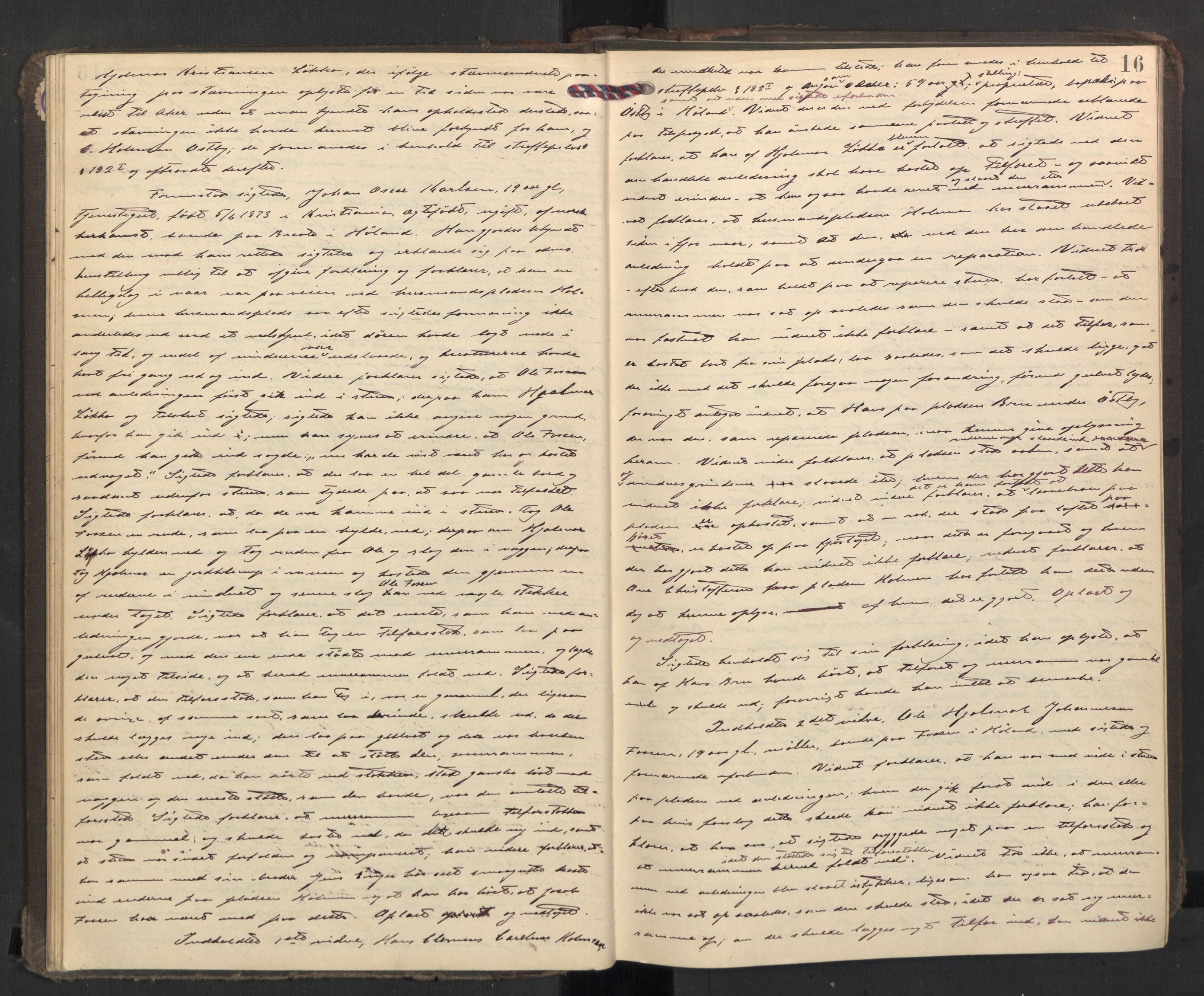Nedre Romerike sorenskriveri, AV/SAO-A-10469/F/Fc/L0038: Ekstrarettsprotokoll, 1892-1896, p. 15b-16a