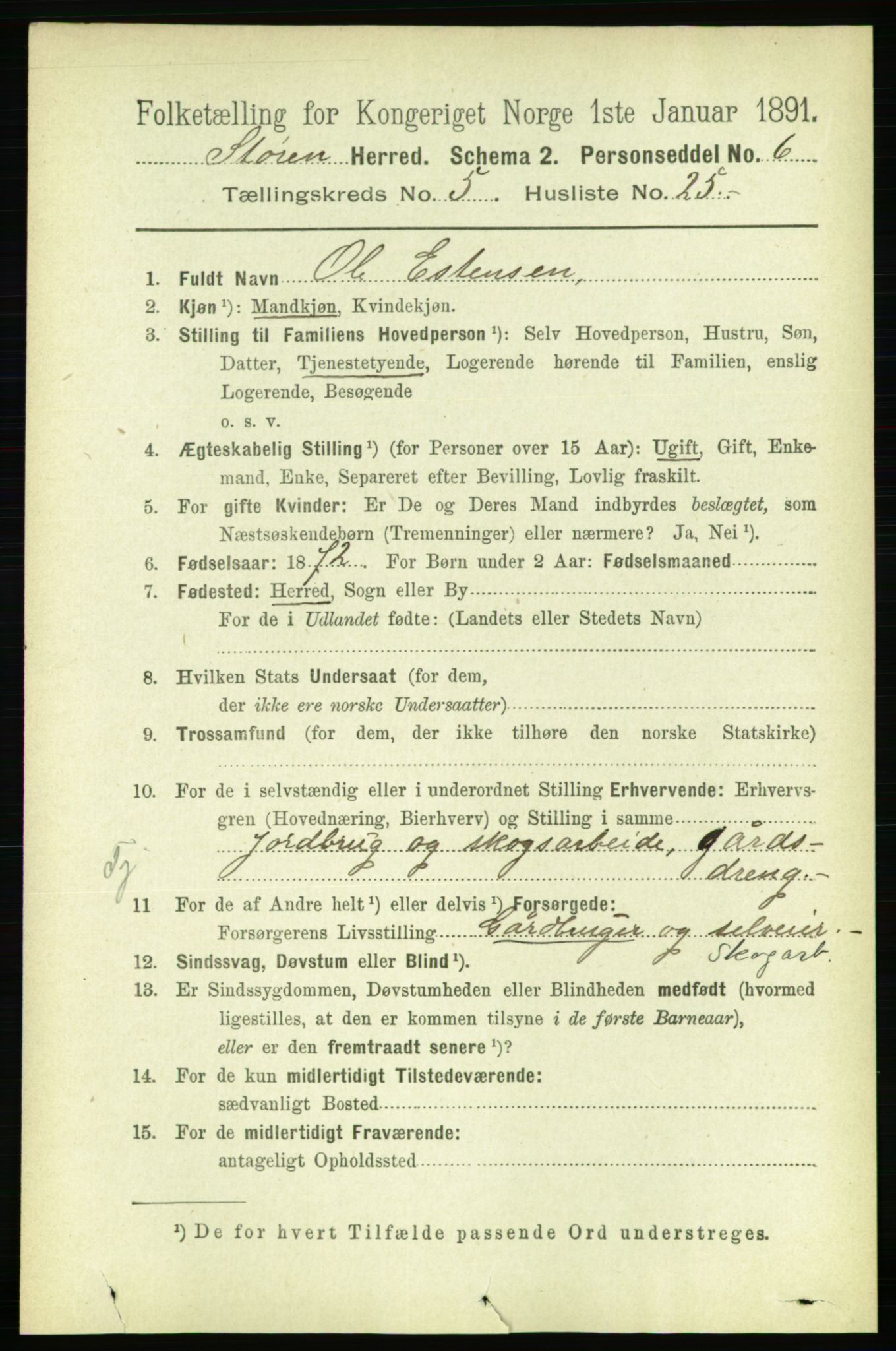 RA, 1891 census for 1648 Støren, 1891, p. 2078