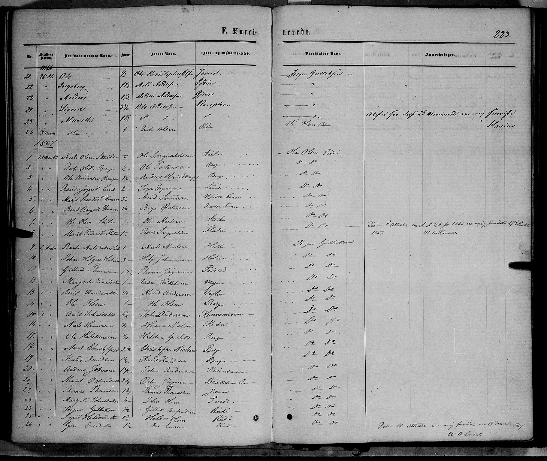 Vang prestekontor, Valdres, SAH/PREST-140/H/Ha/L0007: Parish register (official) no. 7, 1865-1881, p. 223
