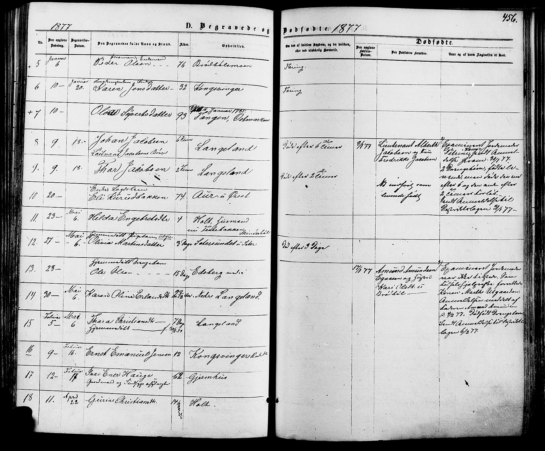 Vinger prestekontor, SAH/PREST-024/H/Ha/Haa/L0012: Parish register (official) no. 12, 1871-1880, p. 456