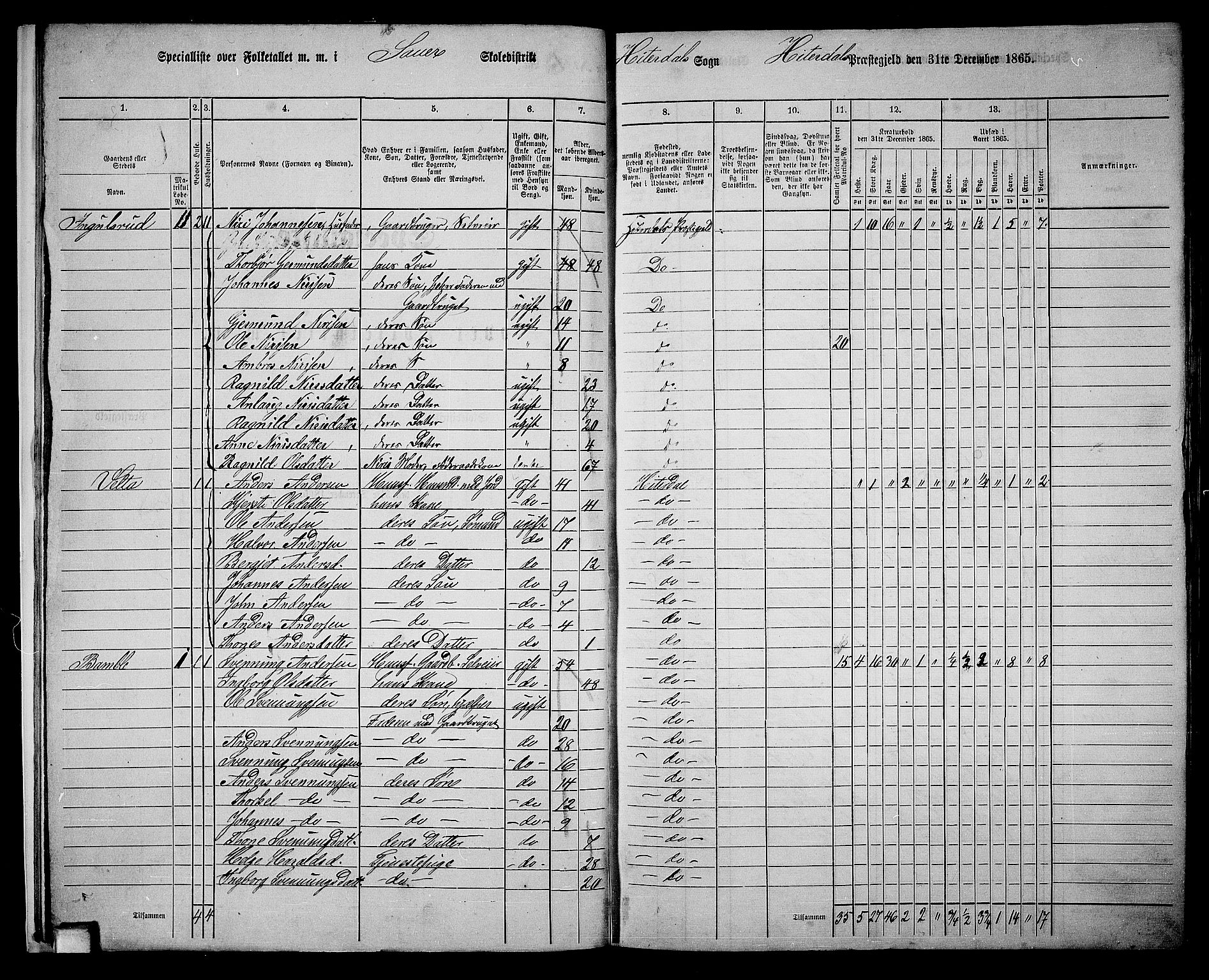 RA, 1865 census for Heddal, 1865, p. 13