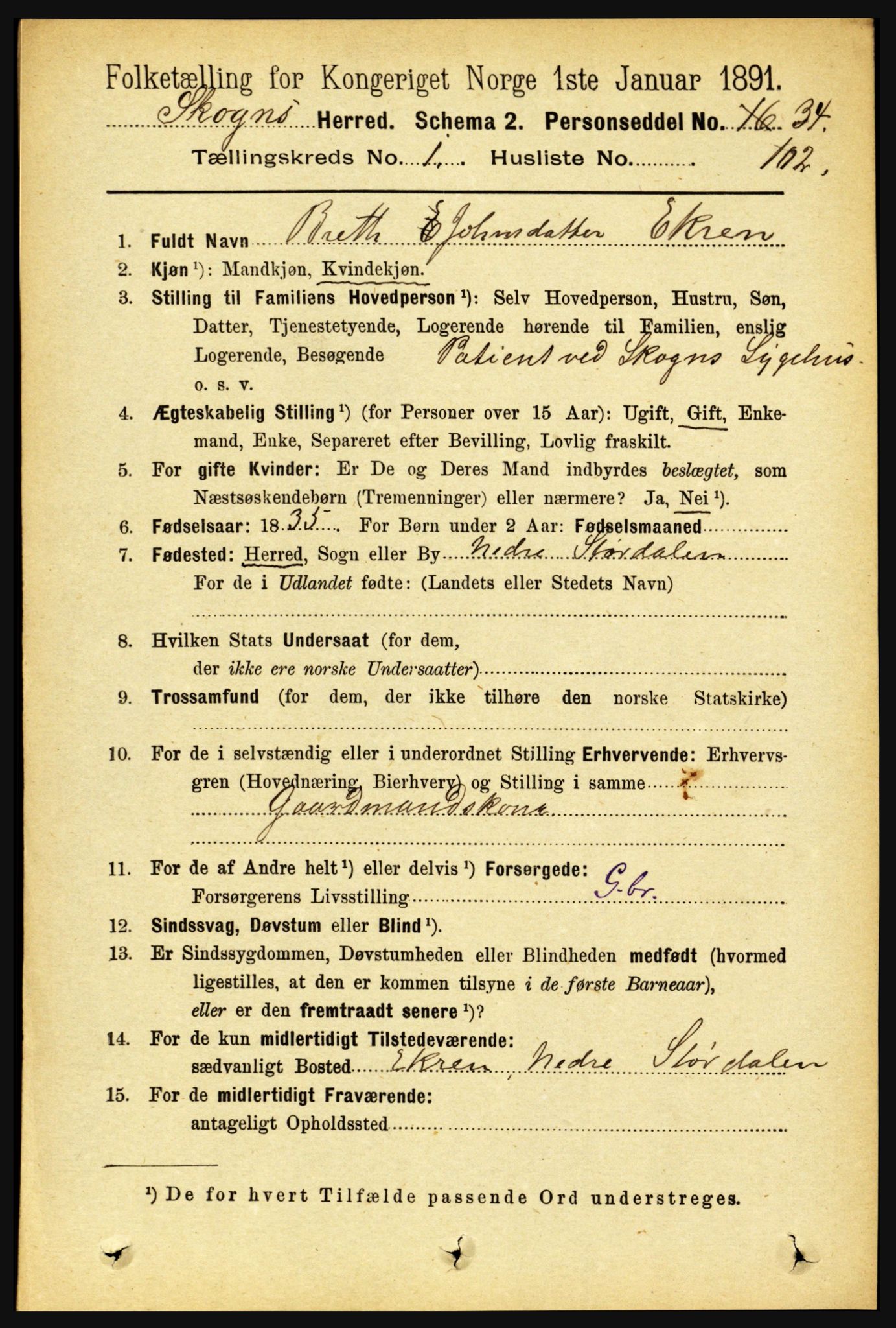 RA, 1891 census for 1719 Skogn, 1891, p. 749