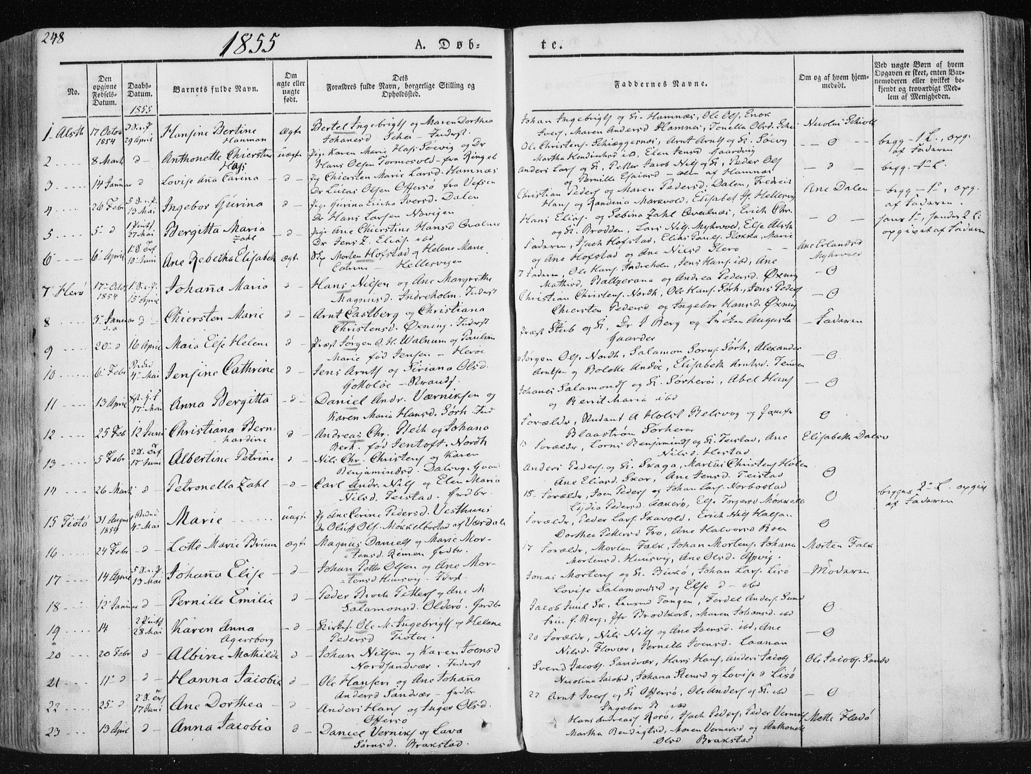Ministerialprotokoller, klokkerbøker og fødselsregistre - Nordland, SAT/A-1459/830/L0446: Parish register (official) no. 830A10, 1831-1865, p. 248