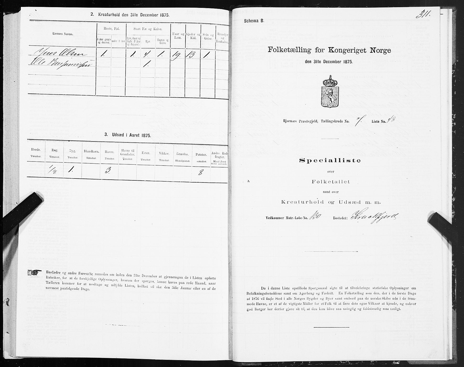 SAT, 1875 census for 1632P Bjørnør, 1875, p. 3311