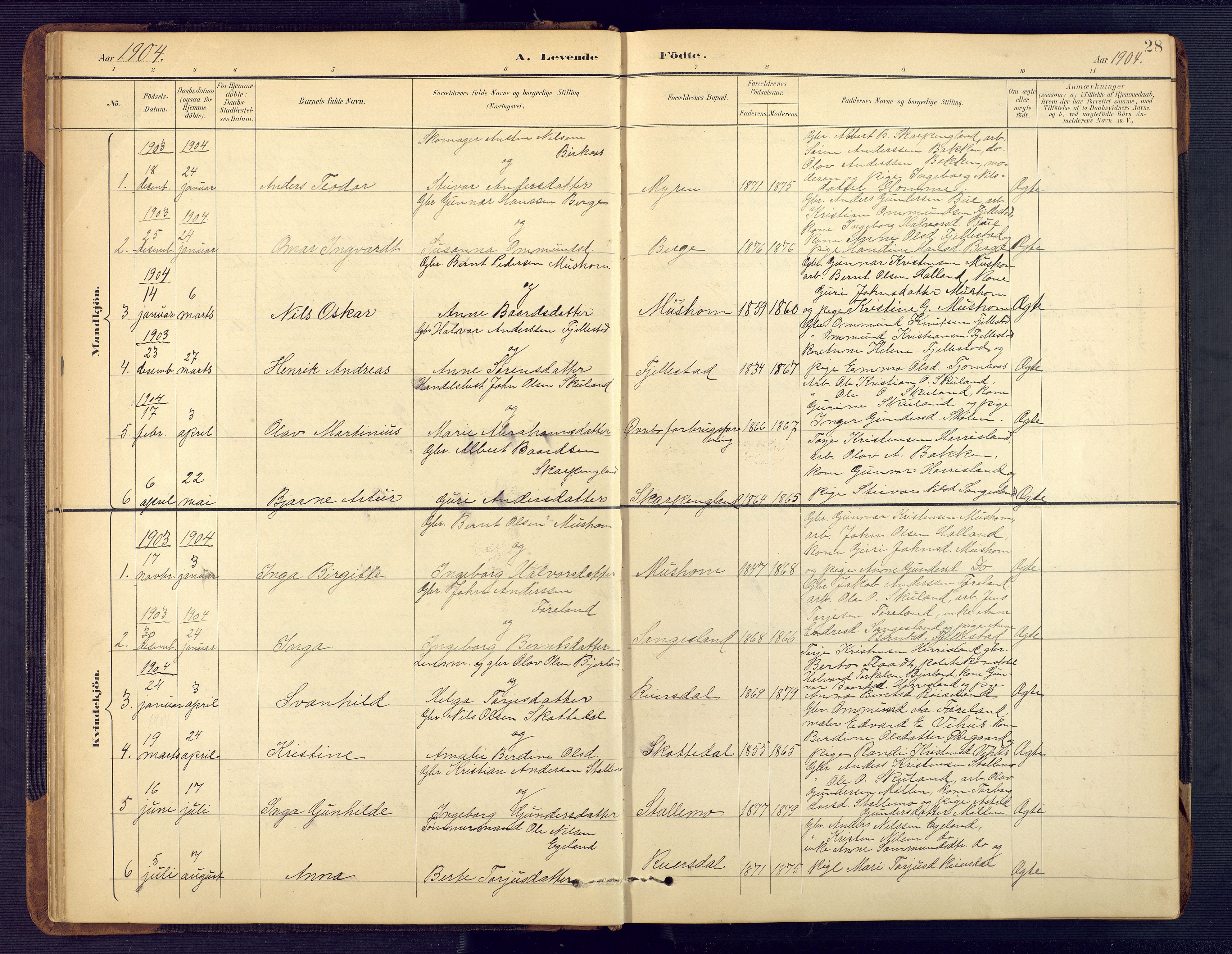 Vennesla sokneprestkontor, SAK/1111-0045/Fb/Fbc/L0003: Parish register (copy) no. B 3, 1895-1946, p. 28