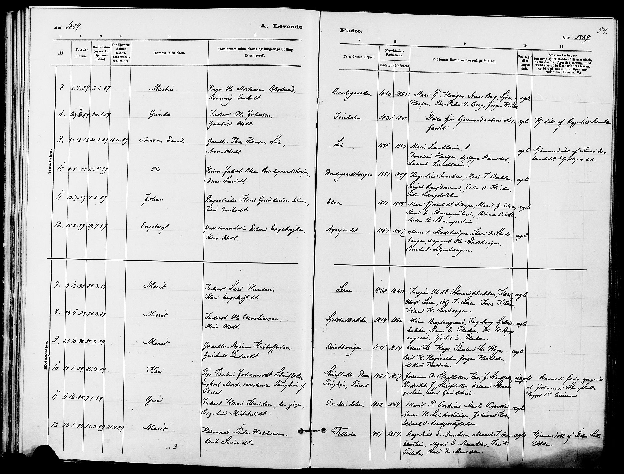 Dovre prestekontor, AV/SAH-PREST-066/H/Ha/Haa/L0002: Parish register (official) no. 2, 1879-1890, p. 54