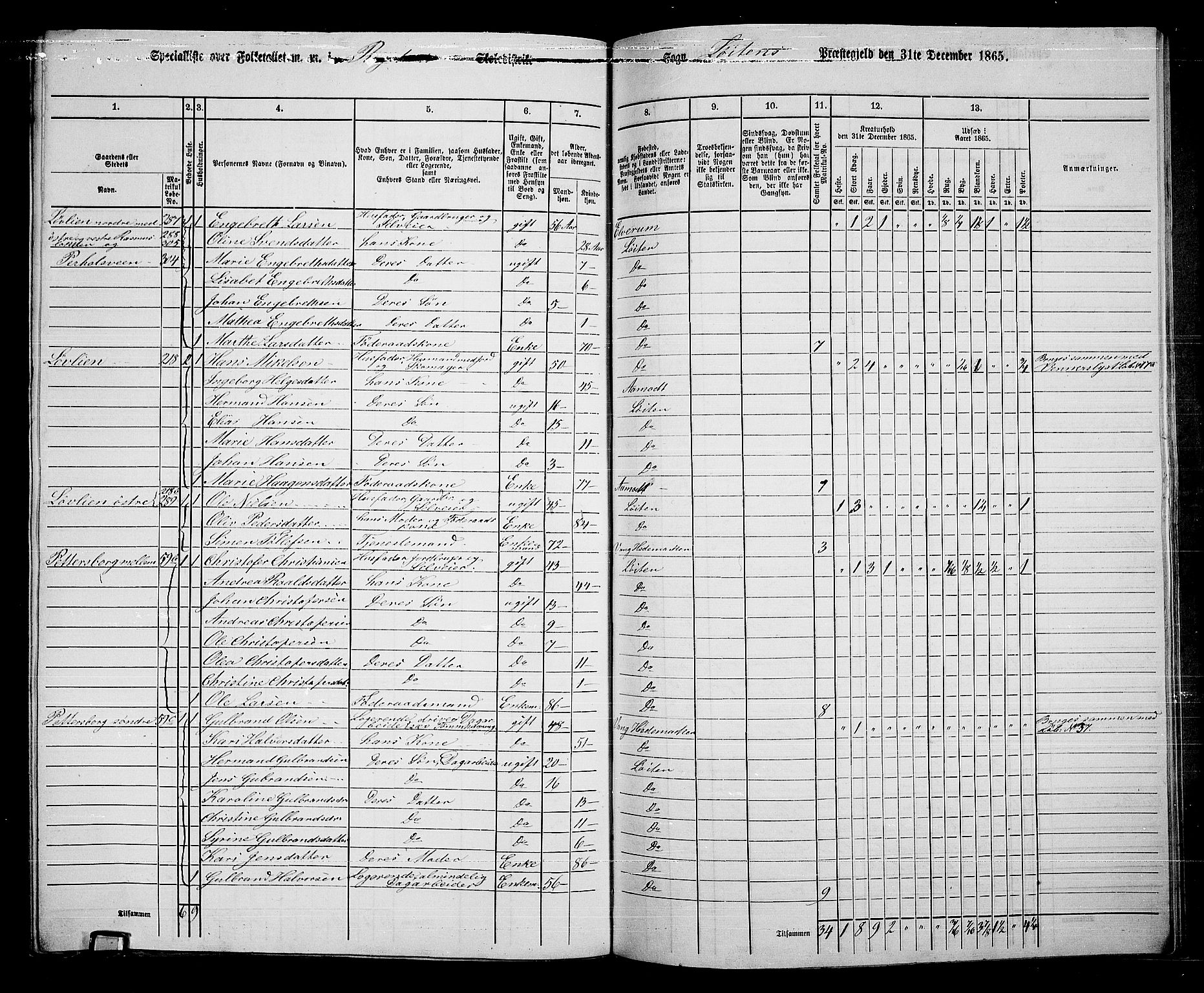 RA, 1865 census for Løten, 1865, p. 162