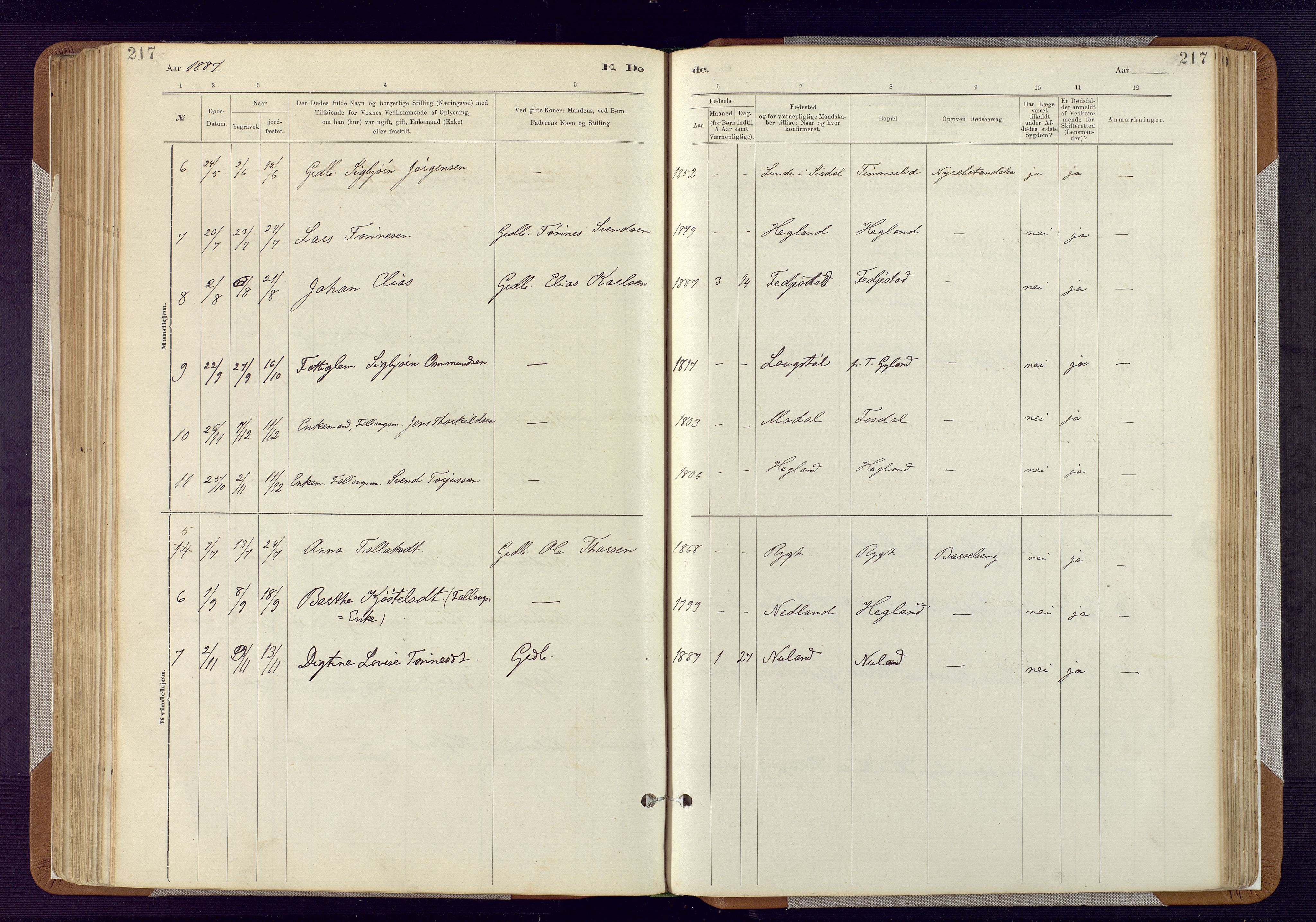 Bakke sokneprestkontor, AV/SAK-1111-0002/F/Fa/Fab/L0003: Parish register (official) no. A 3, 1884-1921, p. 217