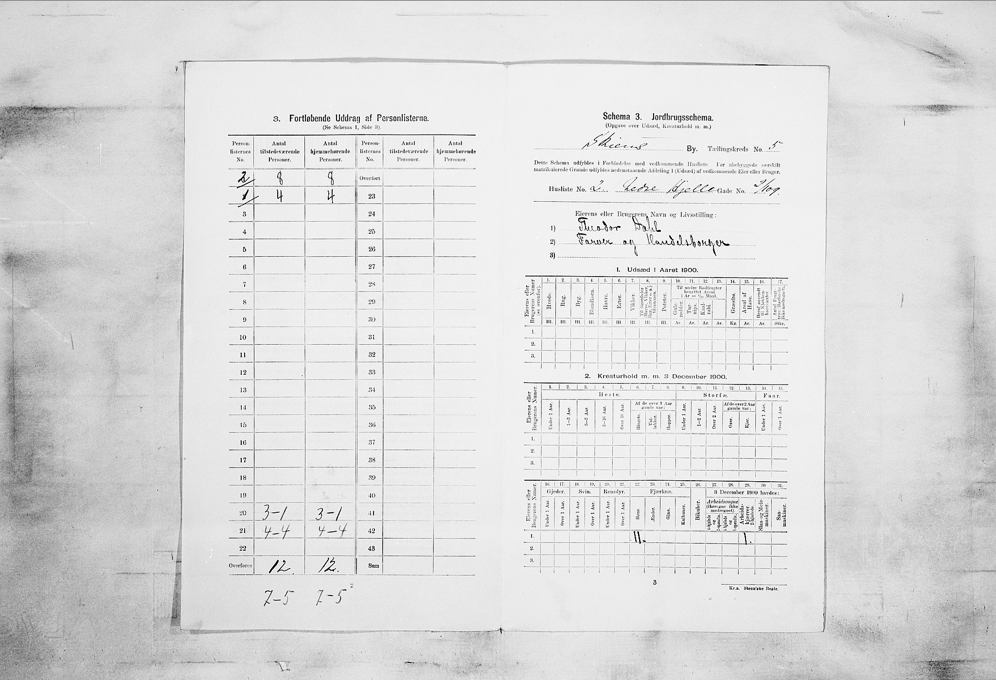 SAKO, 1900 census for Skien, 1900, p. 769