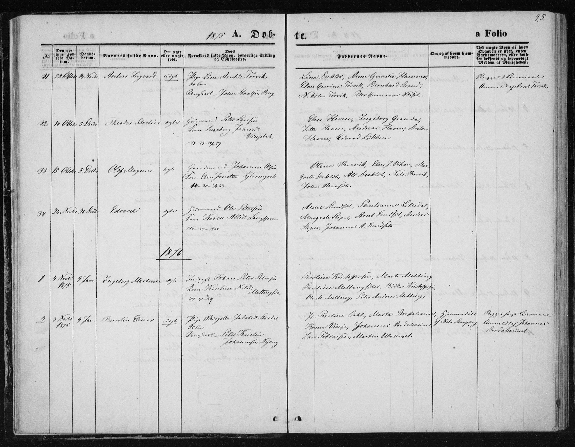 Ministerialprotokoller, klokkerbøker og fødselsregistre - Nord-Trøndelag, AV/SAT-A-1458/733/L0324: Parish register (official) no. 733A03, 1870-1883, p. 25