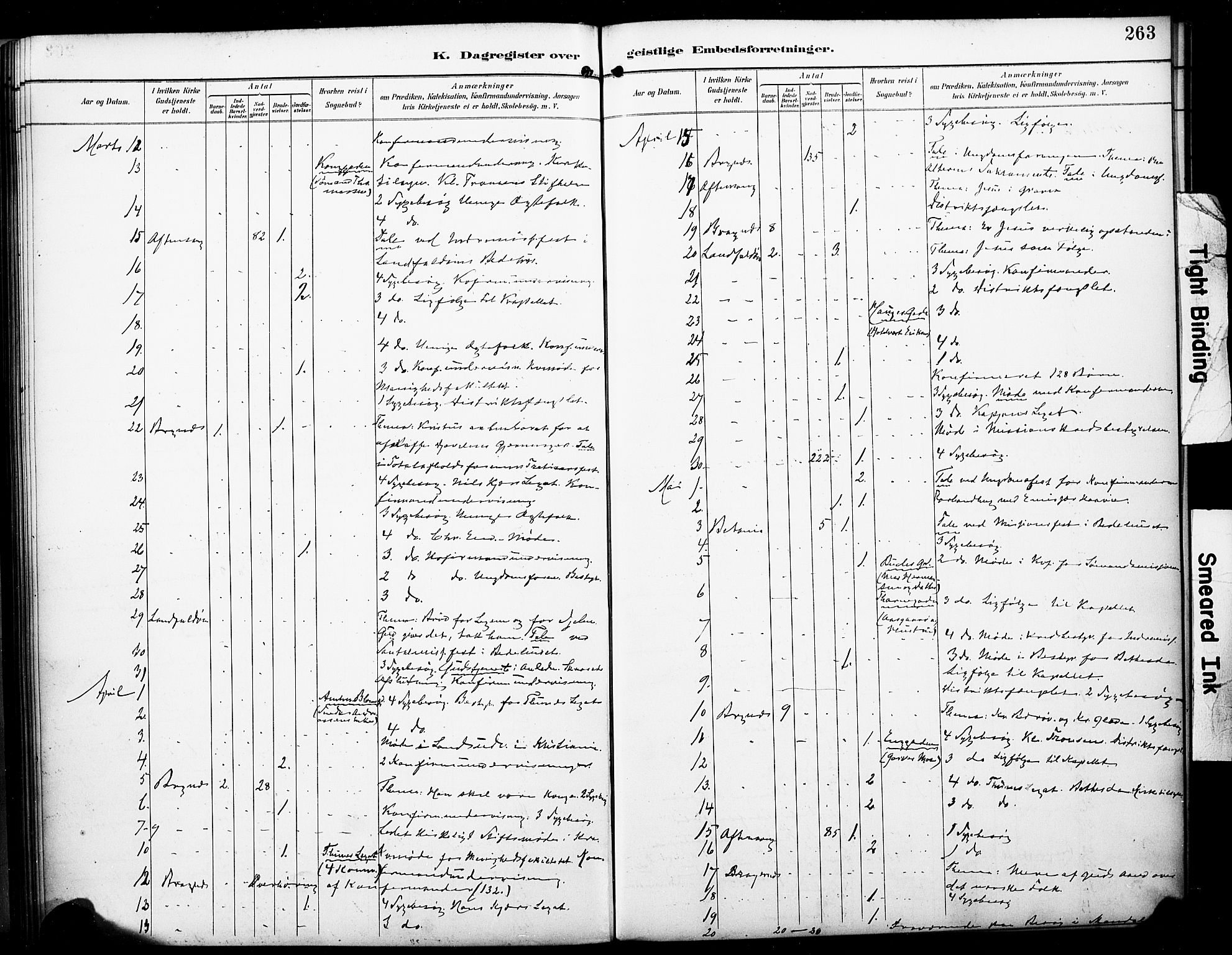 Bragernes kirkebøker, AV/SAKO-A-6/F/Fc/L0006: Parish register (official) no. III 6, 1888-1899, p. 263