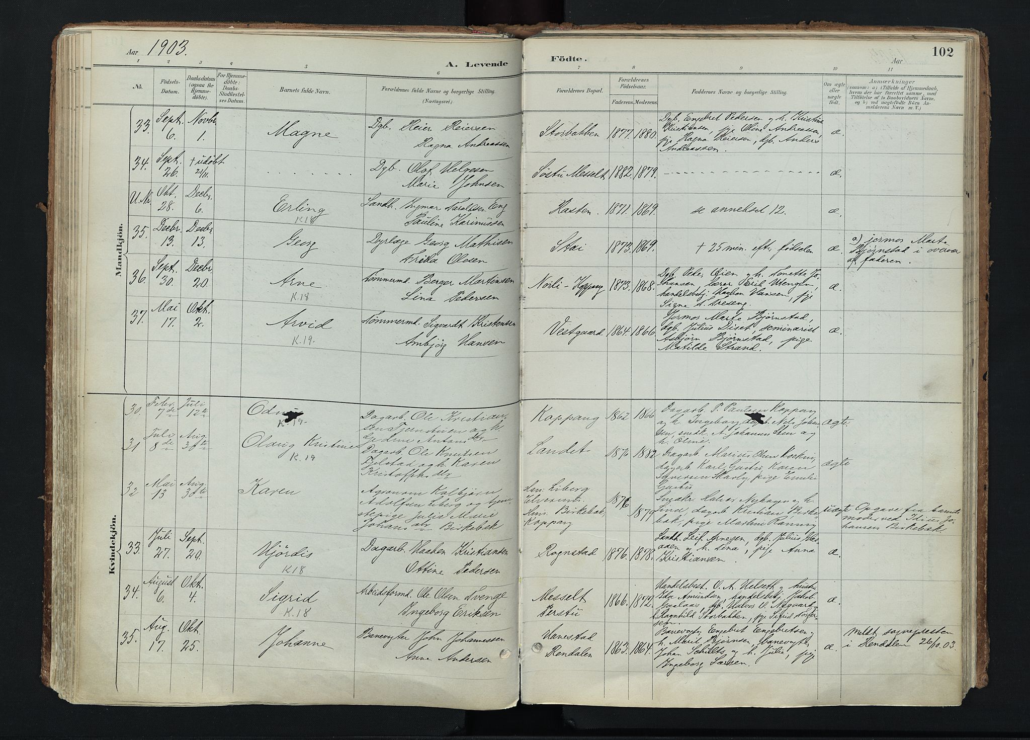 Stor-Elvdal prestekontor, AV/SAH-PREST-052/H/Ha/Haa/L0004: Parish register (official) no. 4, 1890-1922, p. 102