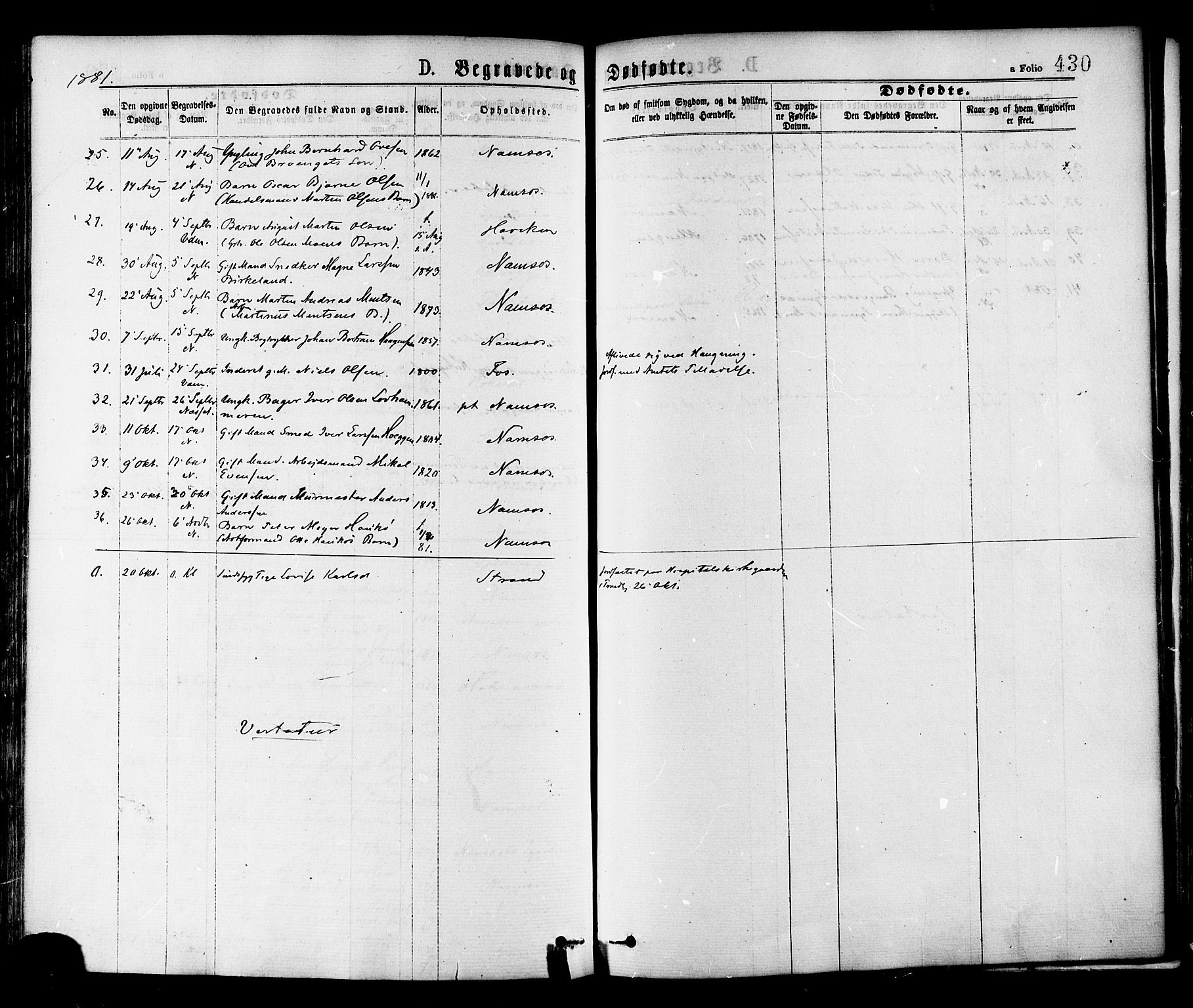 Ministerialprotokoller, klokkerbøker og fødselsregistre - Nord-Trøndelag, AV/SAT-A-1458/768/L0572: Parish register (official) no. 768A07, 1874-1886, p. 430