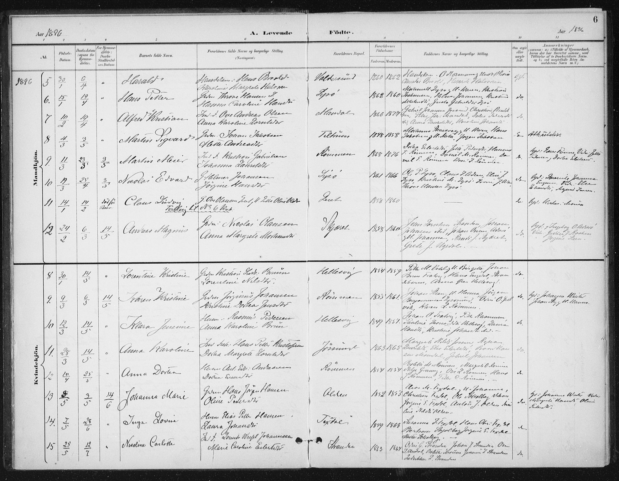 Ministerialprotokoller, klokkerbøker og fødselsregistre - Sør-Trøndelag, SAT/A-1456/654/L0664: Parish register (official) no. 654A02, 1895-1907, p. 6