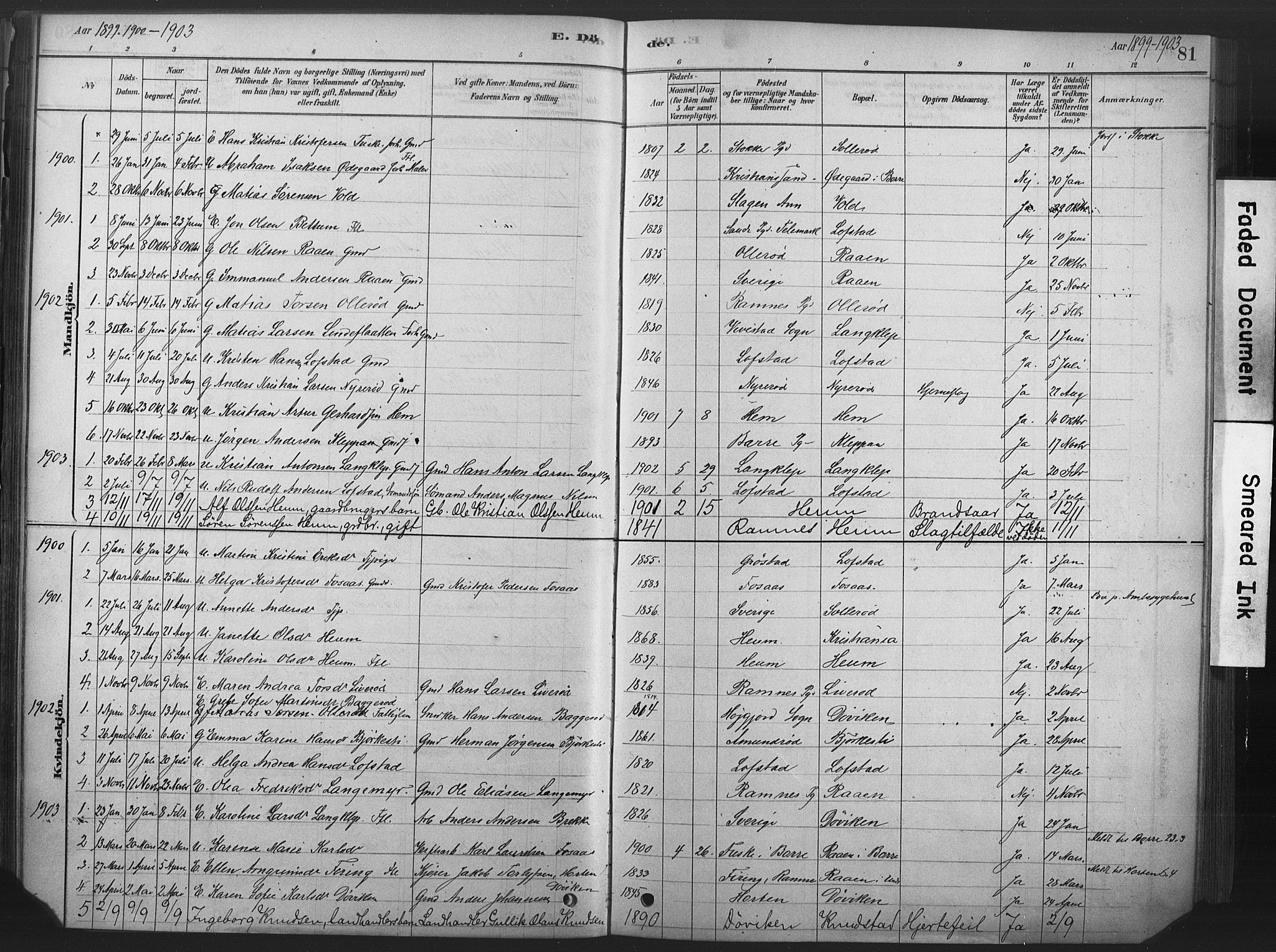 Våle kirkebøker, SAKO/A-334/F/Fb/L0002: Parish register (official) no. II 2, 1878-1907, p. 81
