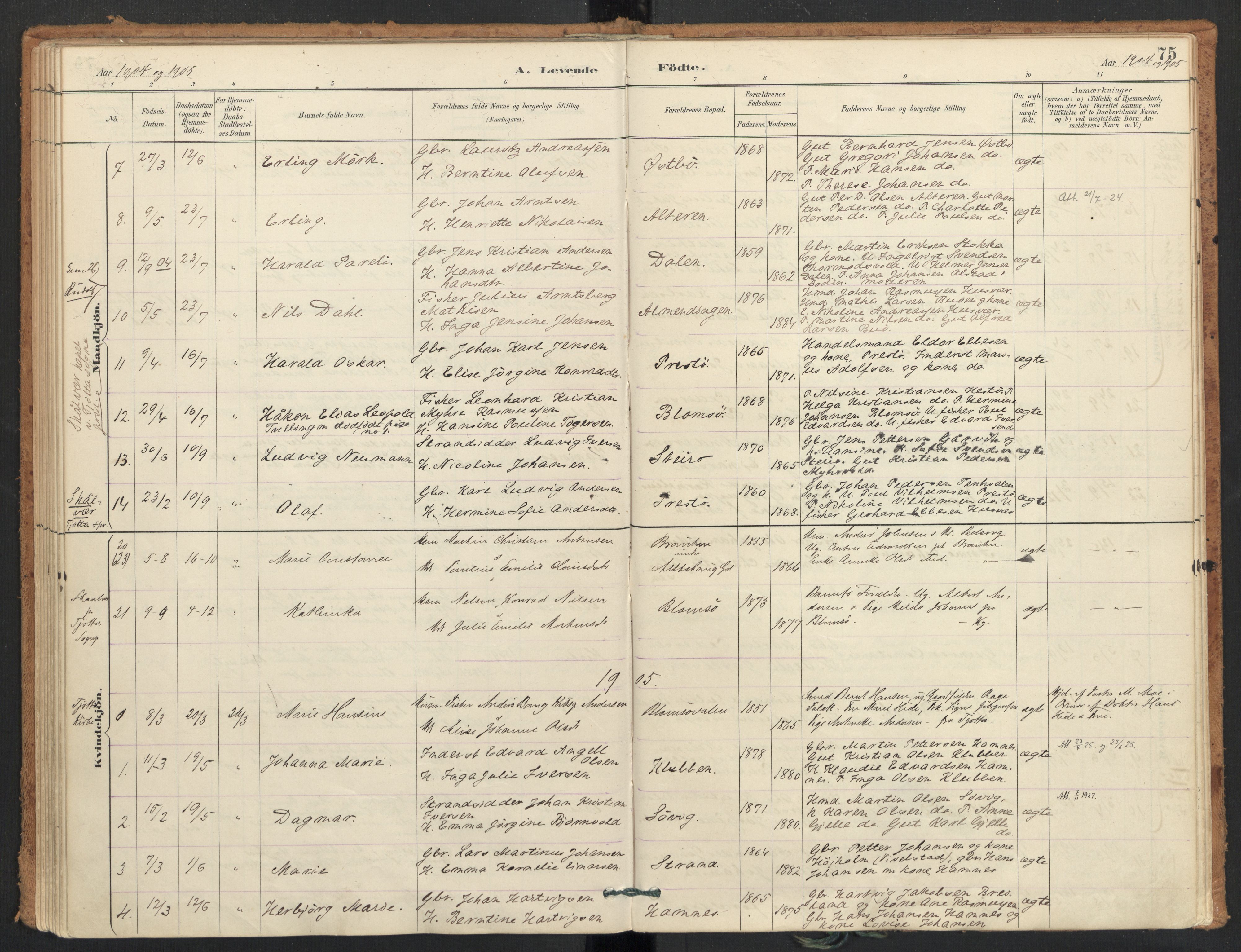 Ministerialprotokoller, klokkerbøker og fødselsregistre - Nordland, AV/SAT-A-1459/830/L0453: Parish register (official) no. 830A17, 1886-1911, p. 75