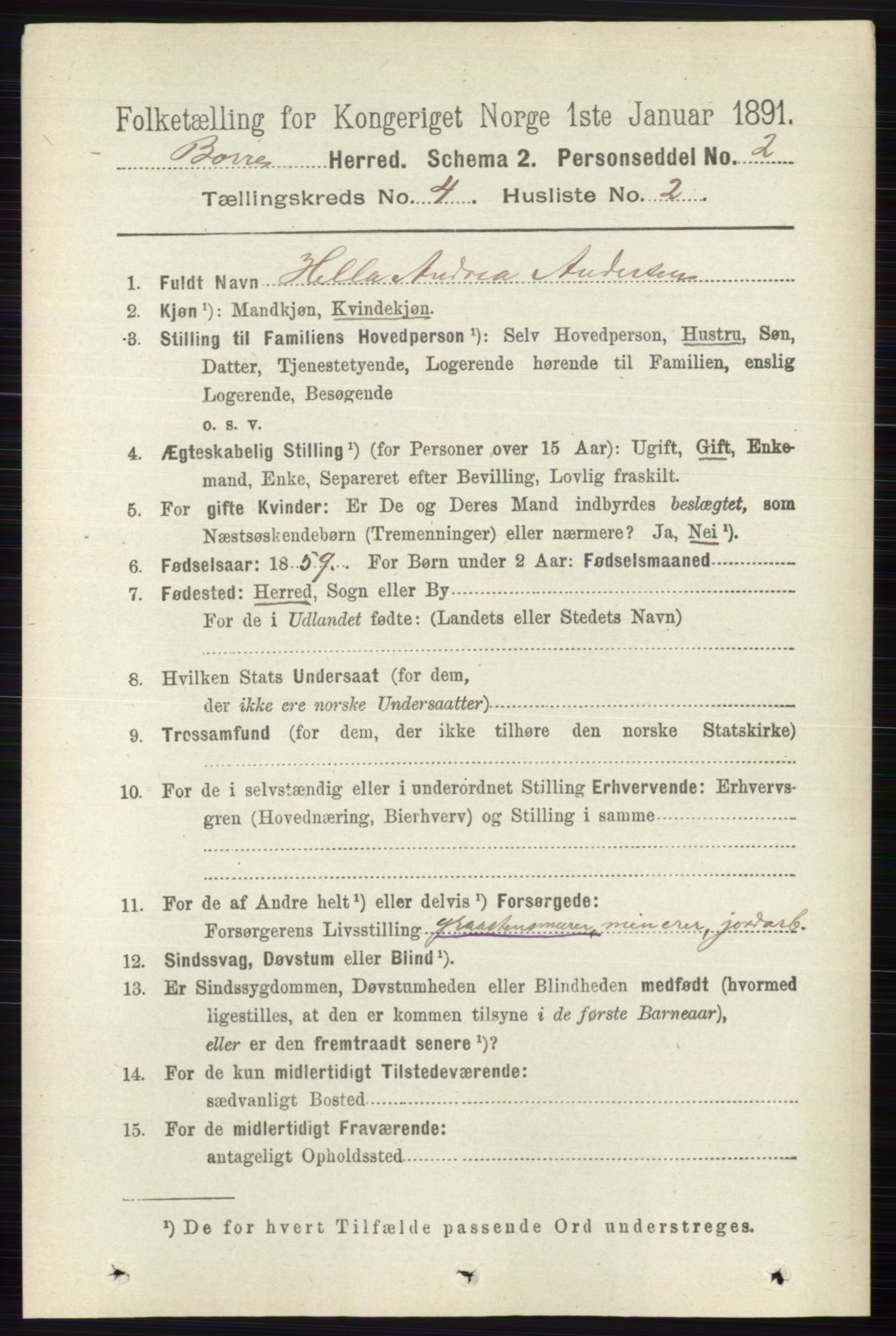 RA, 1891 census for 0717 Borre, 1891, p. 1676