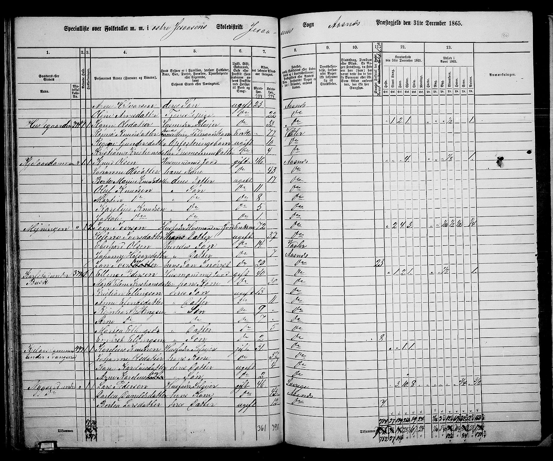 RA, 1865 census for Åsnes, 1865, p. 76