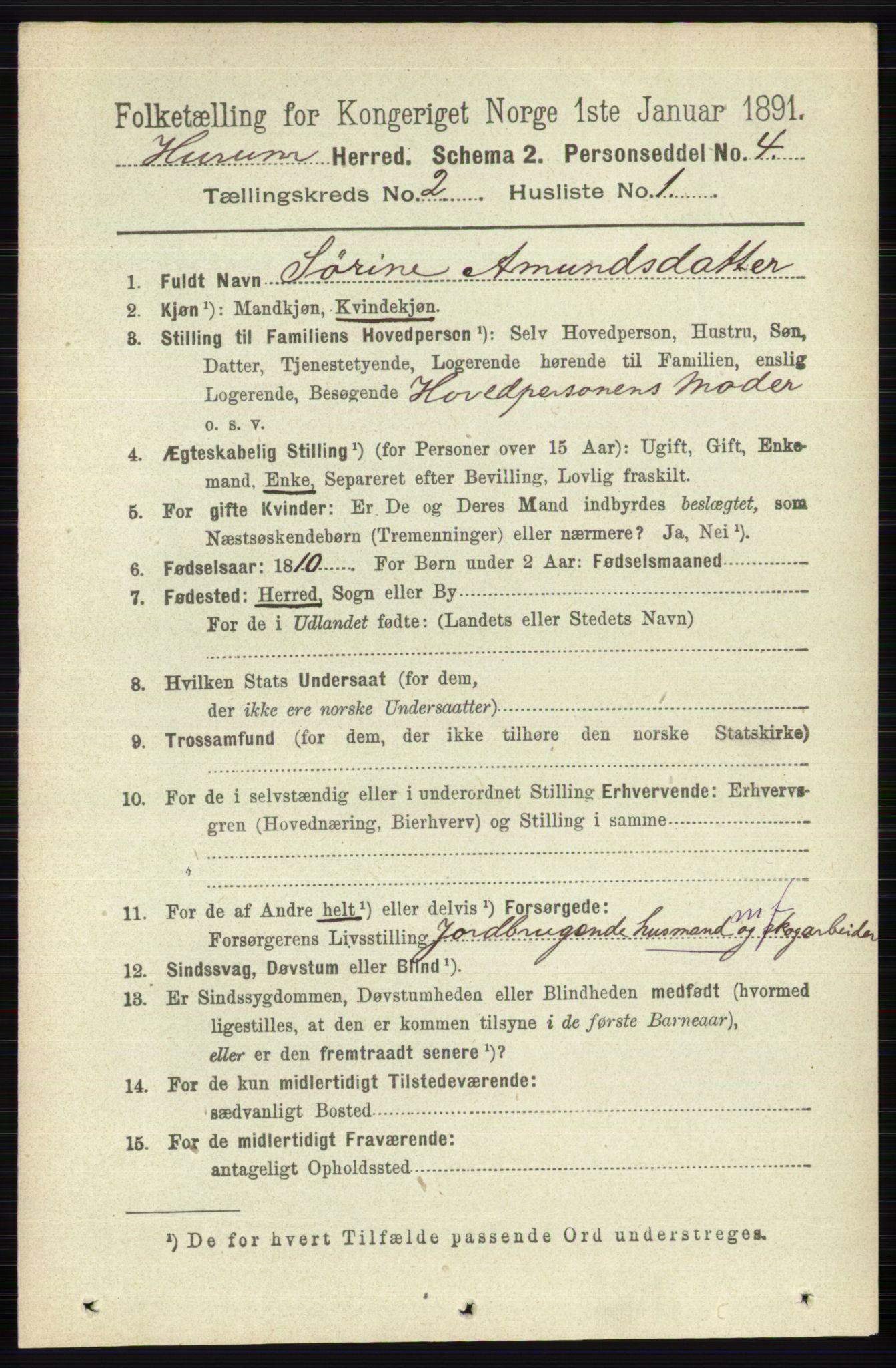 RA, 1891 census for 0628 Hurum, 1891, p. 501