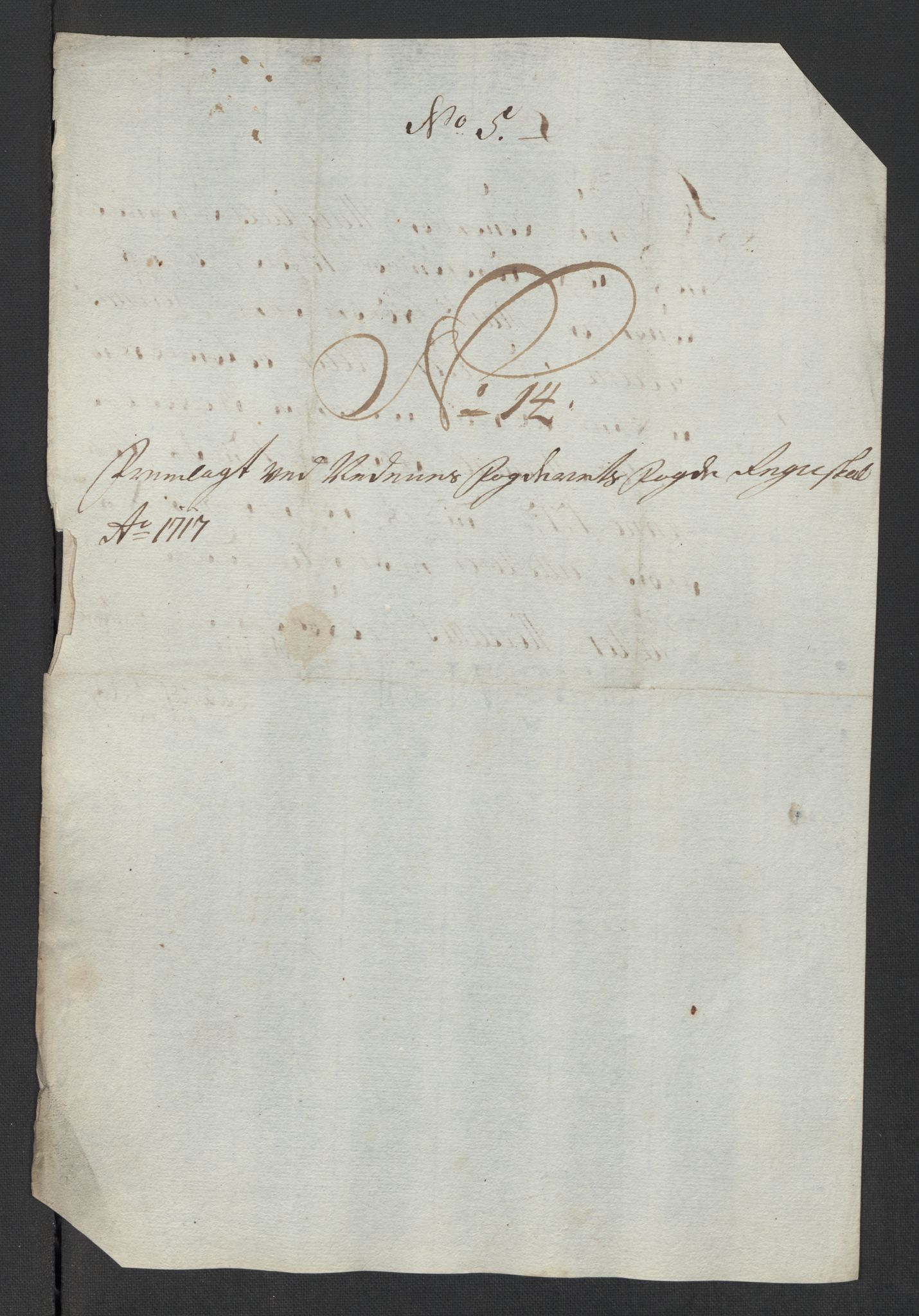 Rentekammeret inntil 1814, Reviderte regnskaper, Fogderegnskap, AV/RA-EA-4092/R39/L2326: Fogderegnskap Nedenes, 1717, p. 224