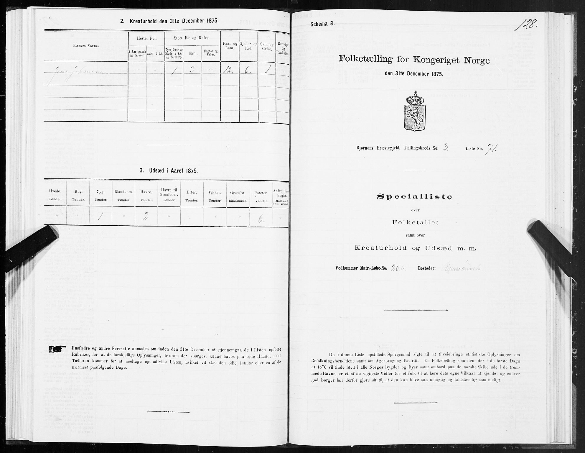 SAT, 1875 census for 1632P Bjørnør, 1875, p. 2128