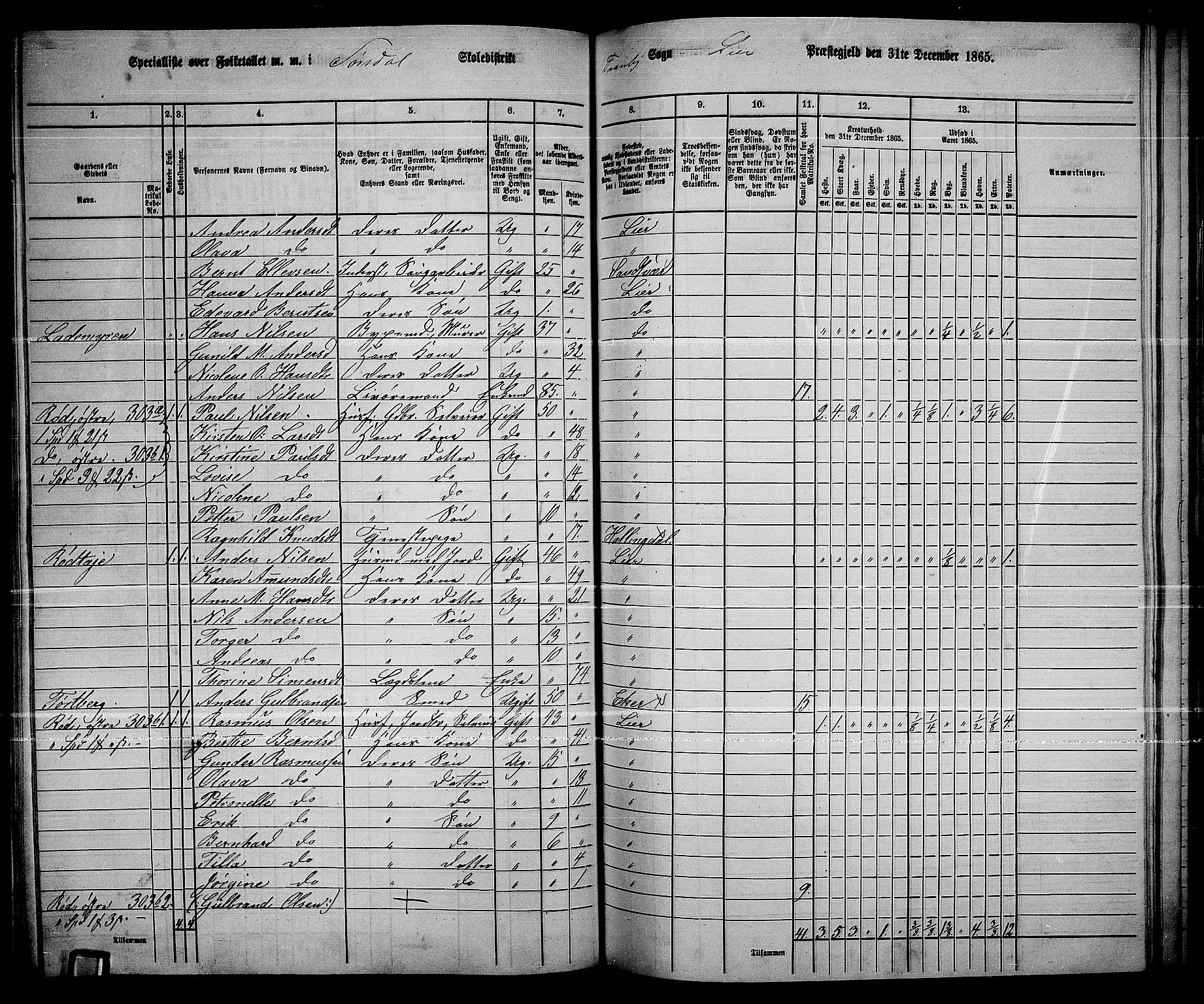 RA, 1865 census for Lier, 1865, p. 164