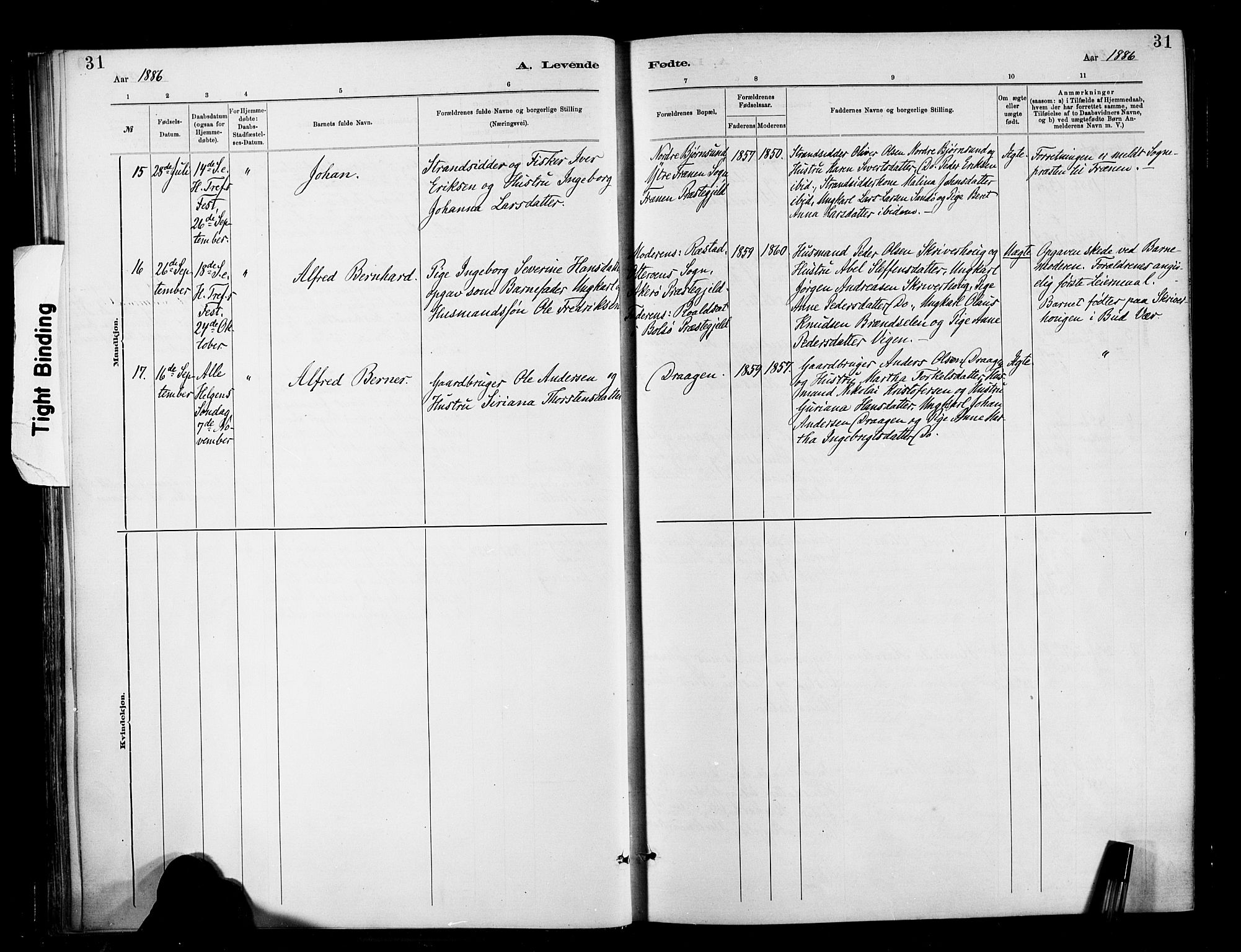 Ministerialprotokoller, klokkerbøker og fødselsregistre - Møre og Romsdal, AV/SAT-A-1454/566/L0769: Parish register (official) no. 566A08, 1881-1903, p. 31