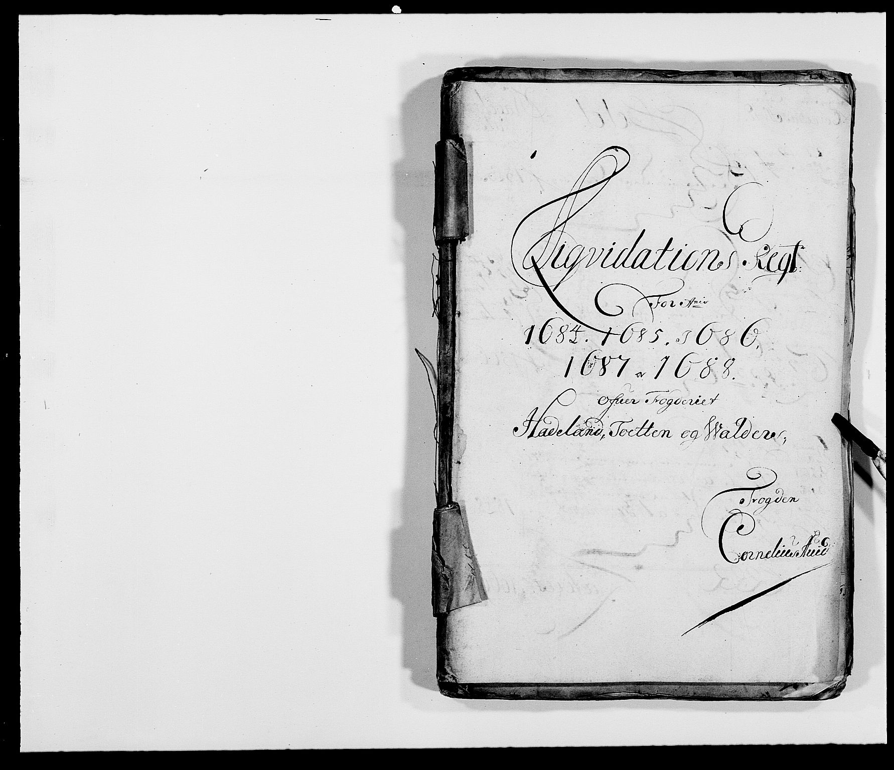 Rentekammeret inntil 1814, Reviderte regnskaper, Fogderegnskap, RA/EA-4092/R18/L1287: Fogderegnskap Hadeland, Toten og Valdres, 1688, p. 45