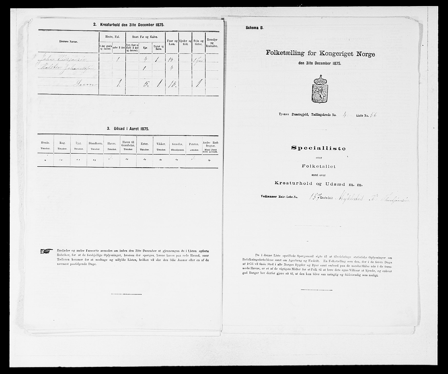 SAB, 1875 census for 1223P Tysnes, 1875, p. 540