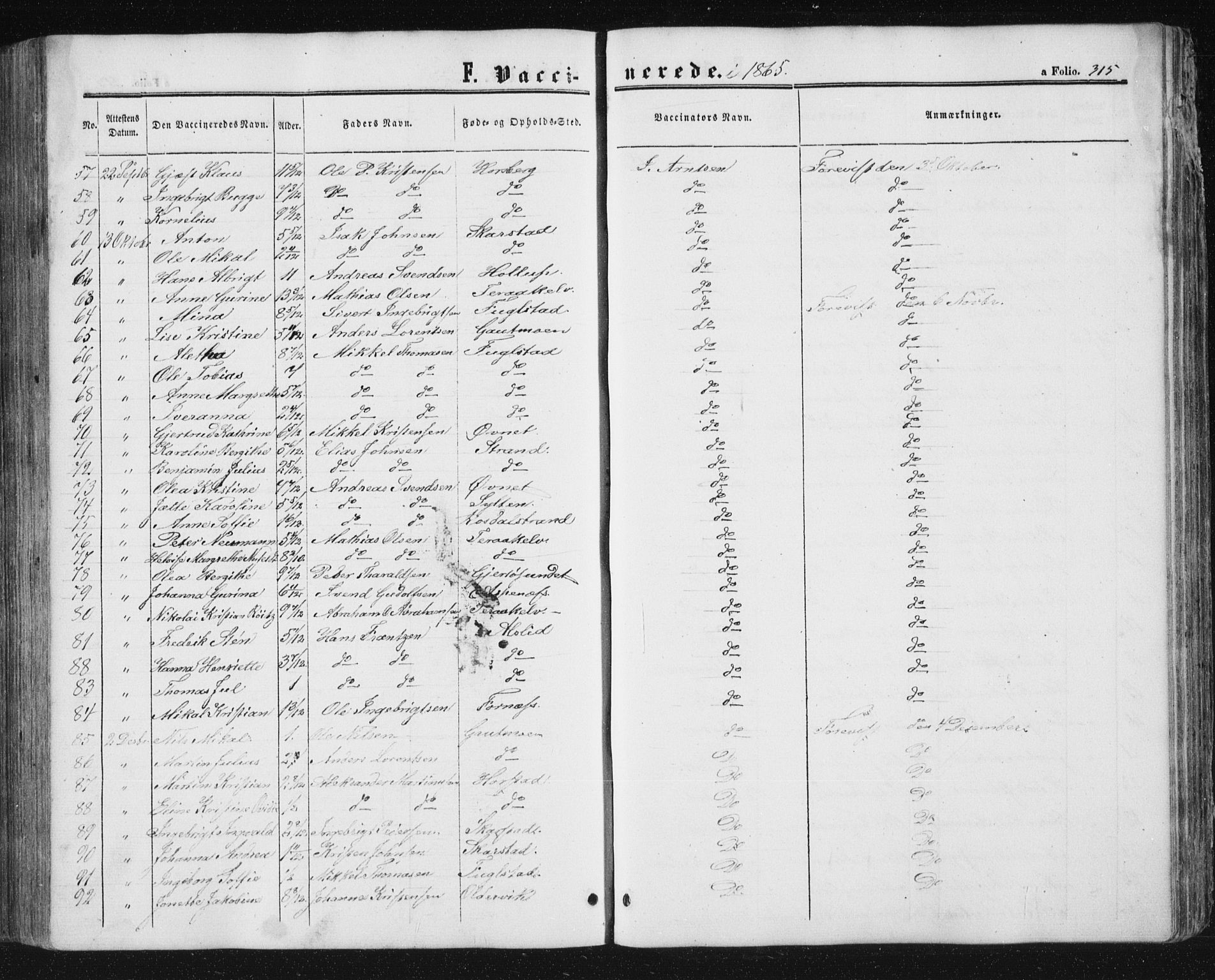 Ministerialprotokoller, klokkerbøker og fødselsregistre - Nordland, AV/SAT-A-1459/810/L0158: Parish register (copy) no. 810C02 /1, 1863-1883, p. 315