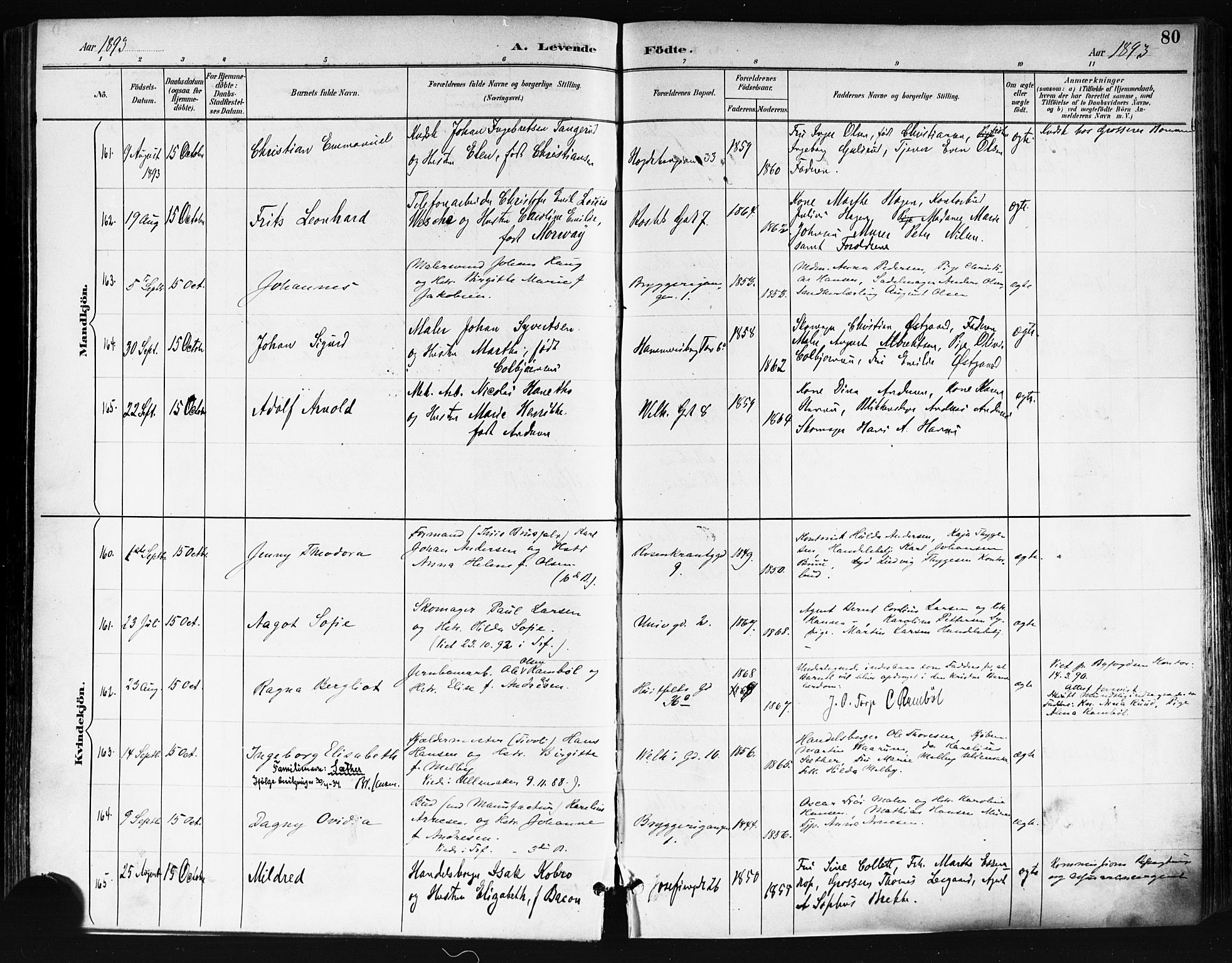 Trefoldighet prestekontor Kirkebøker, AV/SAO-A-10882/F/Fa/L0006: Parish register (official) no. I 6, 1891-1899, p. 80