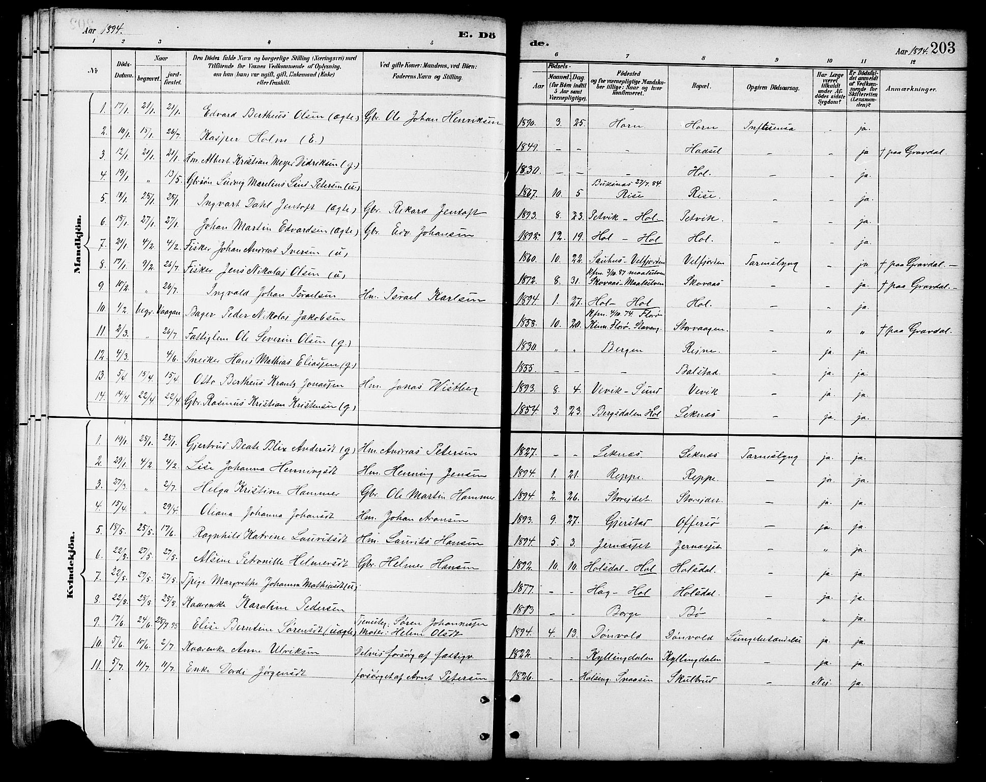 Ministerialprotokoller, klokkerbøker og fødselsregistre - Nordland, AV/SAT-A-1459/881/L1167: Parish register (copy) no. 881C04, 1886-1899, p. 203